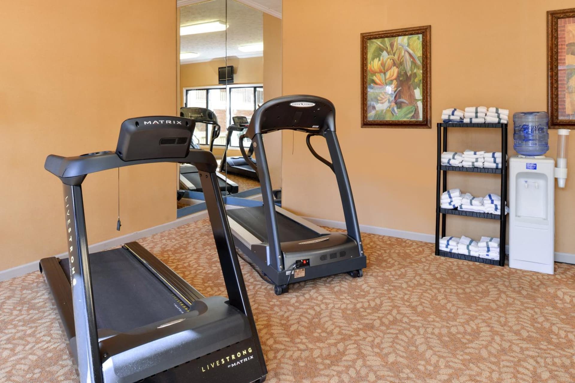 Quality Inn & Suites Fayetteville I-95 gallery photo in Fayetteville, NC — image 34