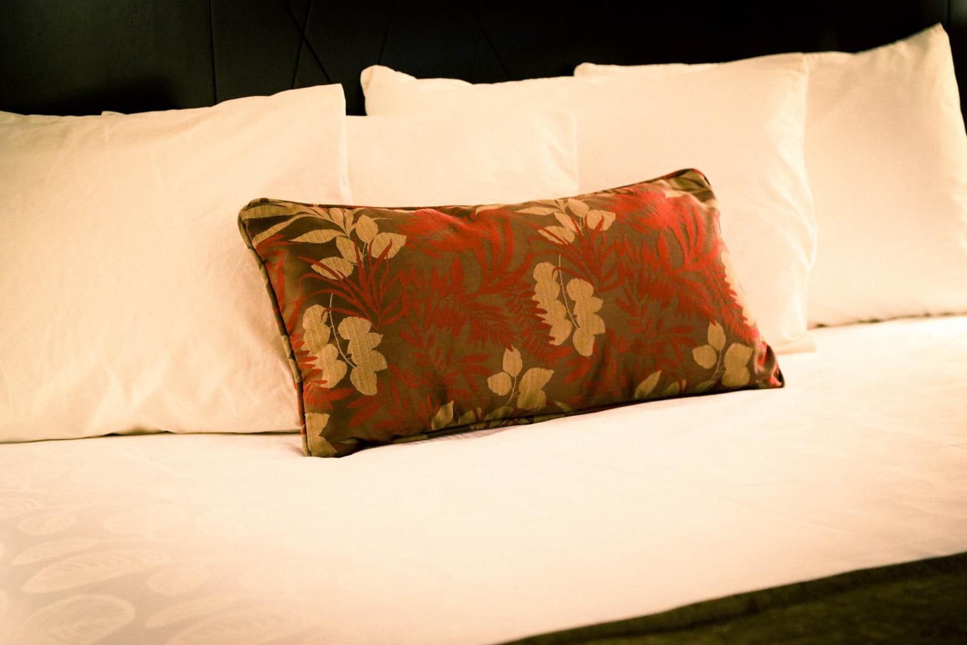 Americas Best Value Inn & Suites-Forest Grove/Hillsboro gallery photo in Forest Grove, OR — image 13