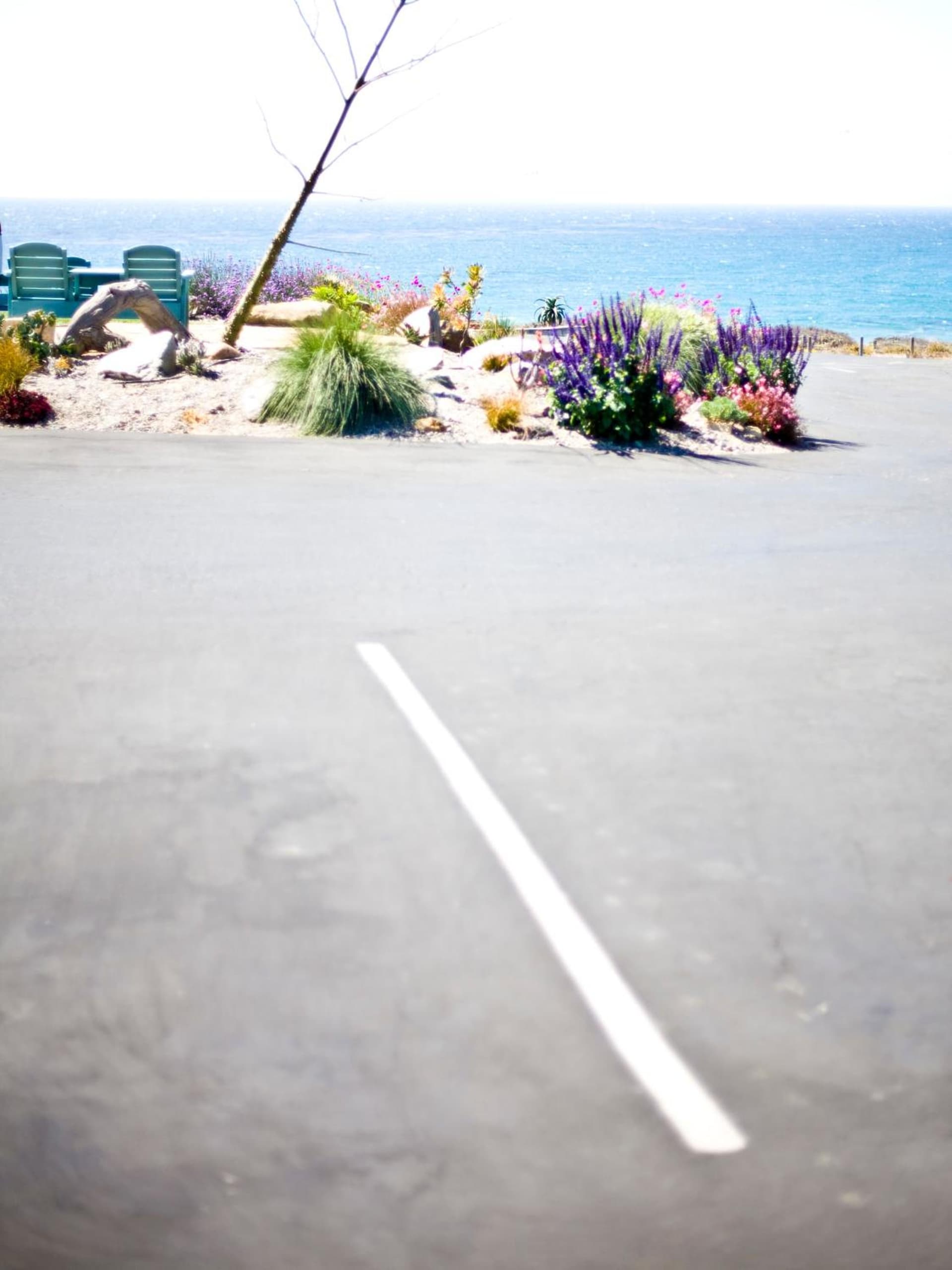 Cambria Shores Inn gallery photo in Cambria, CA — image 76