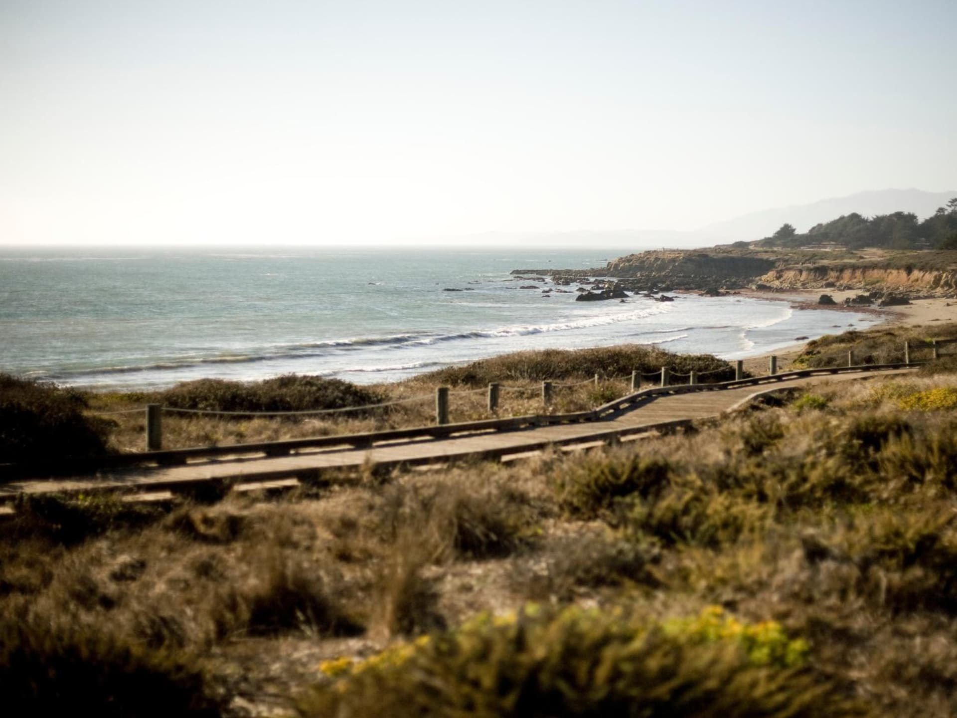 Cambria Shores Inn gallery photo in Cambria, CA — image 102