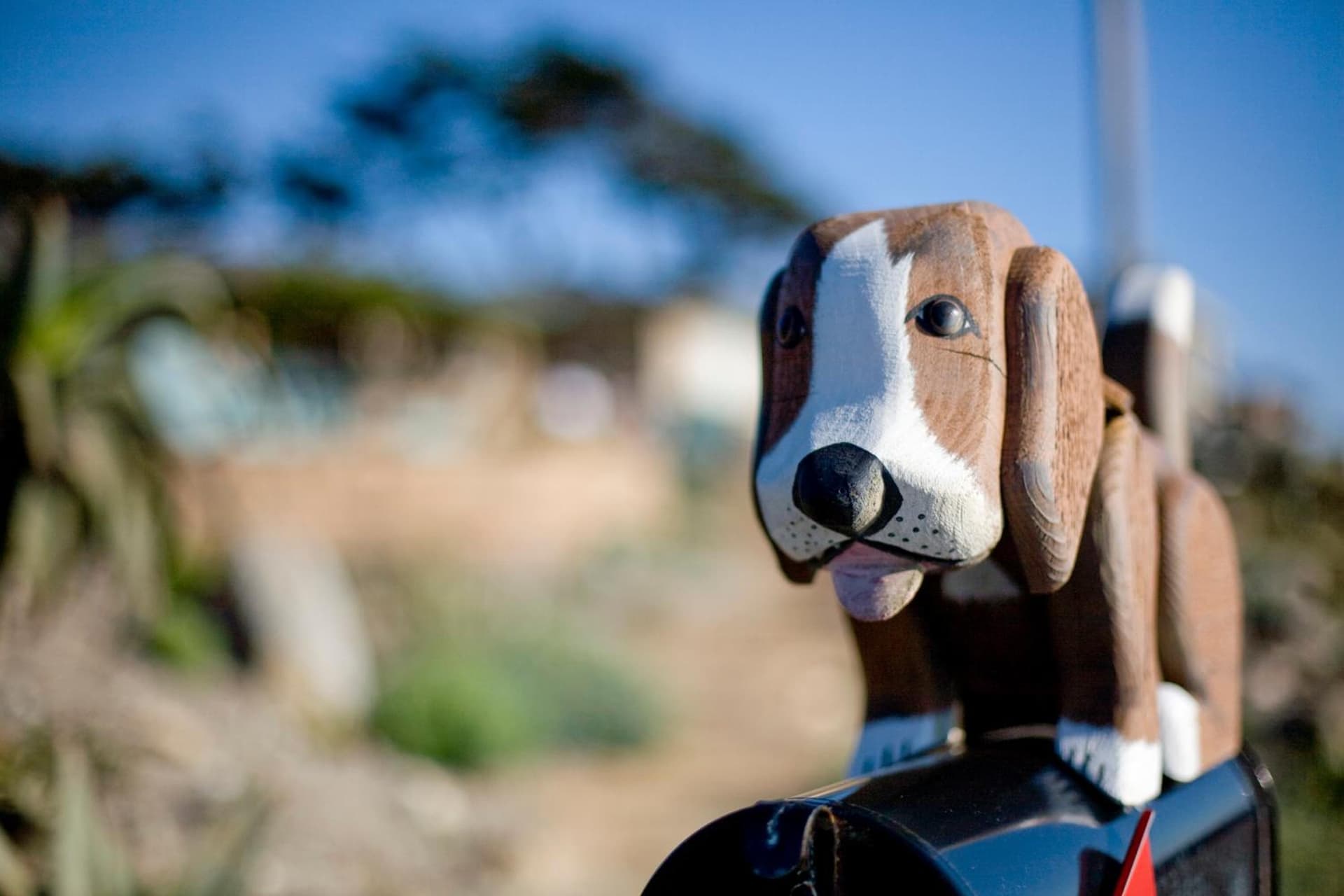 Cambria Shores Inn gallery photo in Cambria, CA — image 46