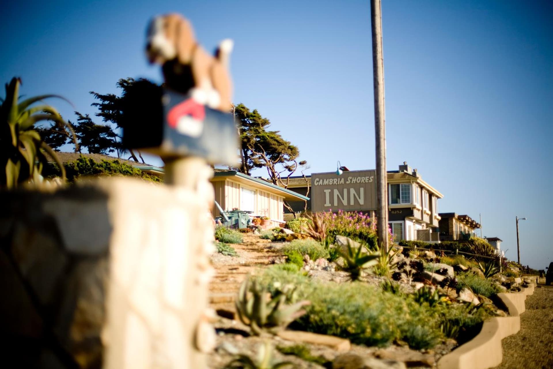 Cambria Shores Inn gallery photo in Cambria, CA — image 65