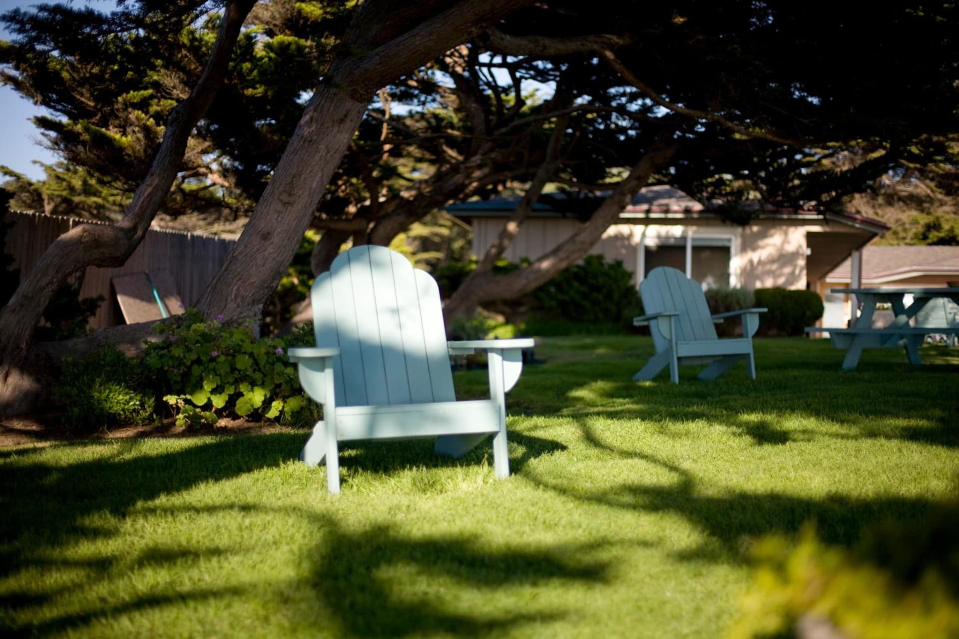 Cambria Shores Inn gallery photo in Cambria, CA — image 87