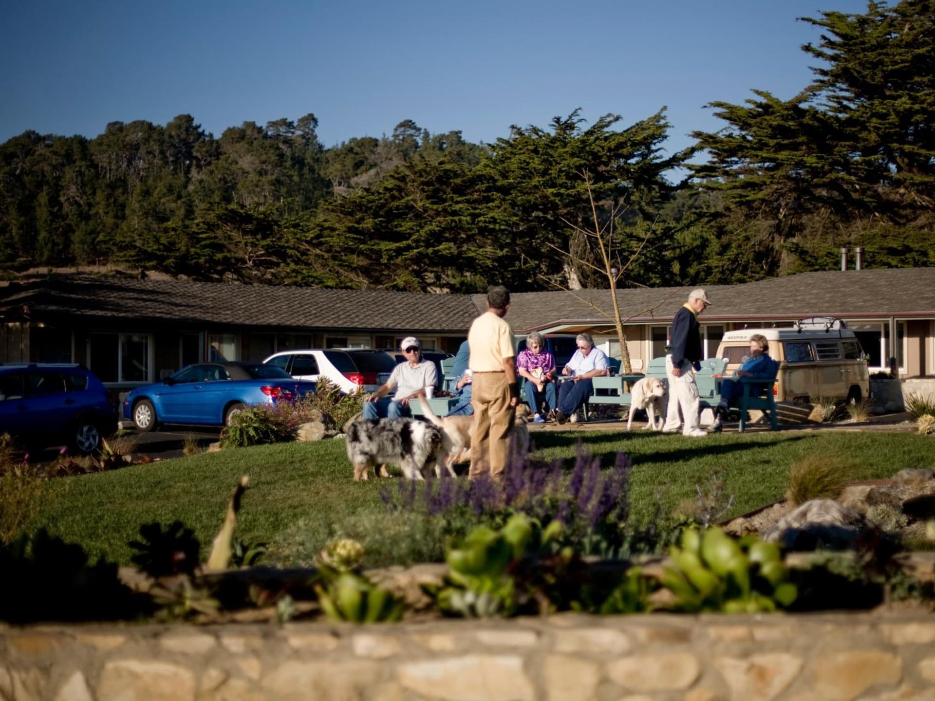 Cambria Shores Inn gallery photo in Cambria, CA — image 15