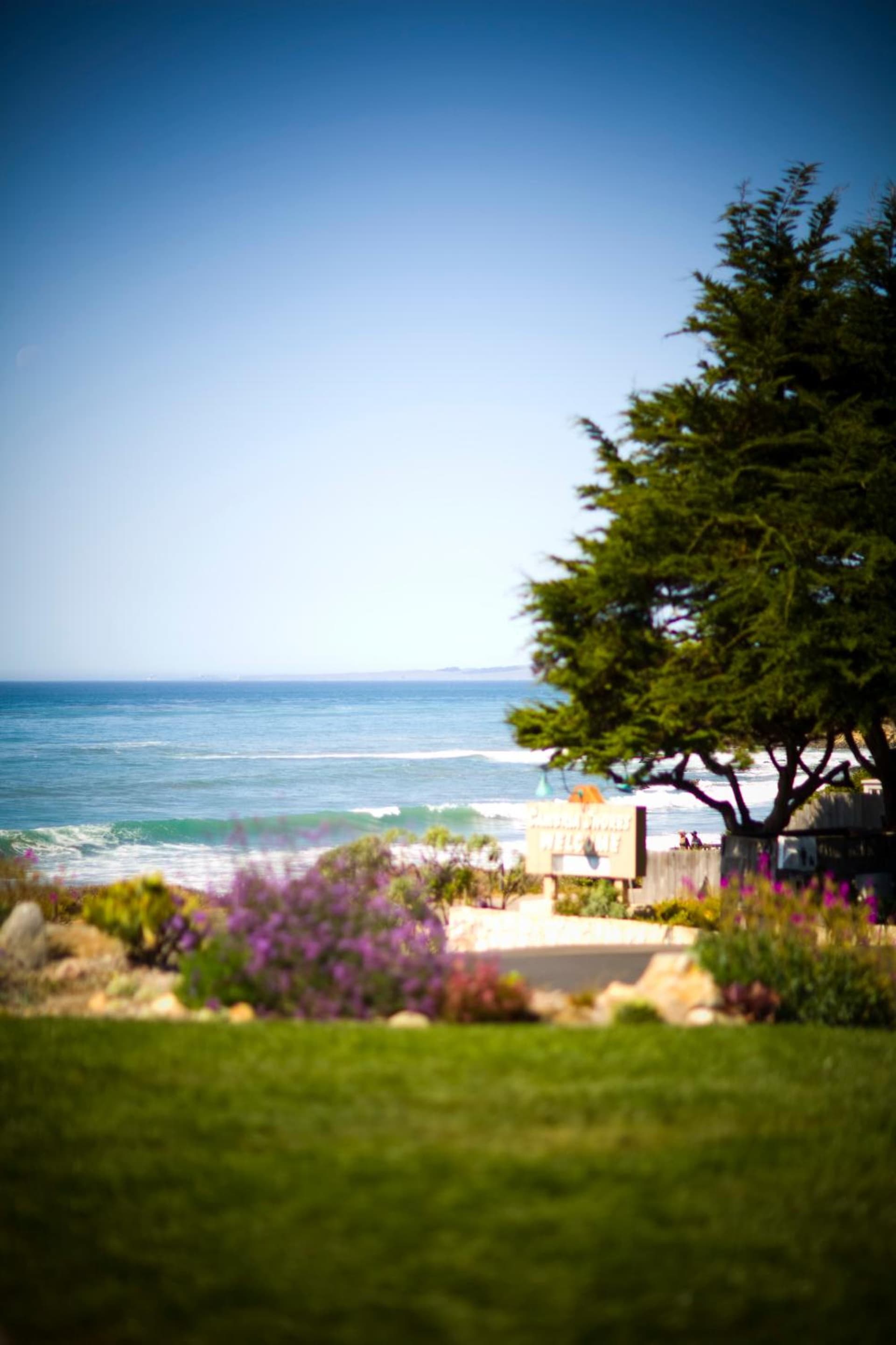 Cambria Shores Inn gallery photo in Cambria, CA — image 17