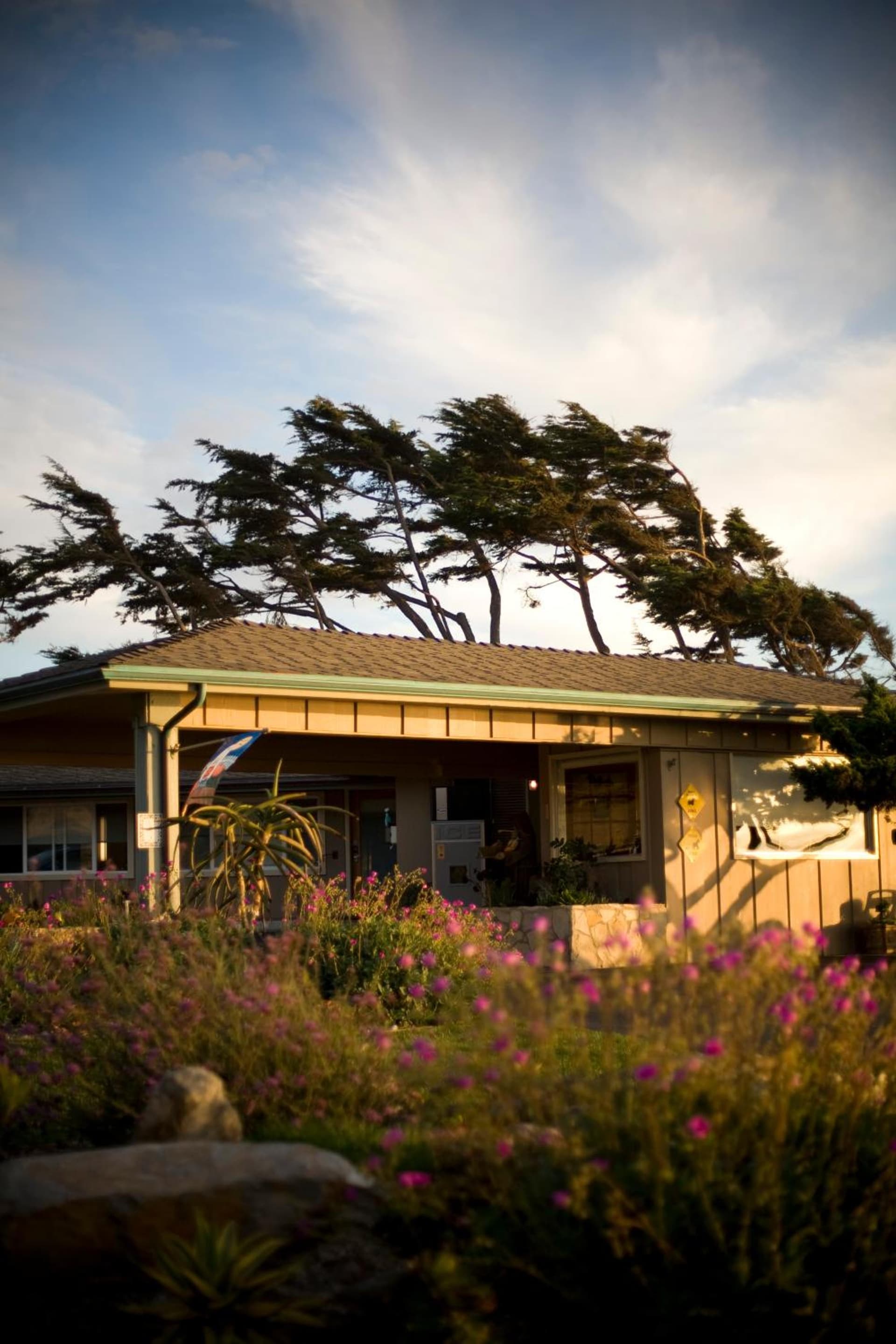 Cambria Shores Inn gallery photo in Cambria, CA — image 99