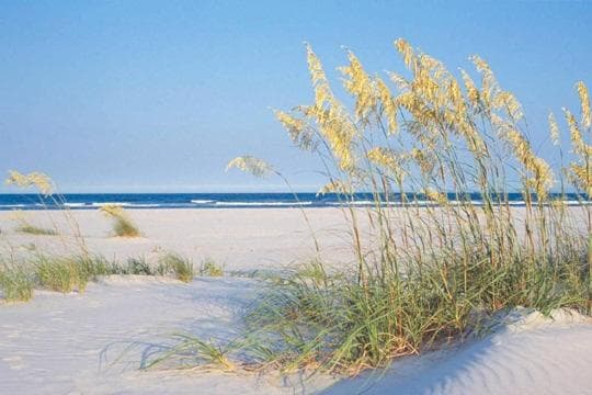 Shell Island Resort - All Oceanfront Suites gallery photo in Wrightsville Beach, NC — image 12