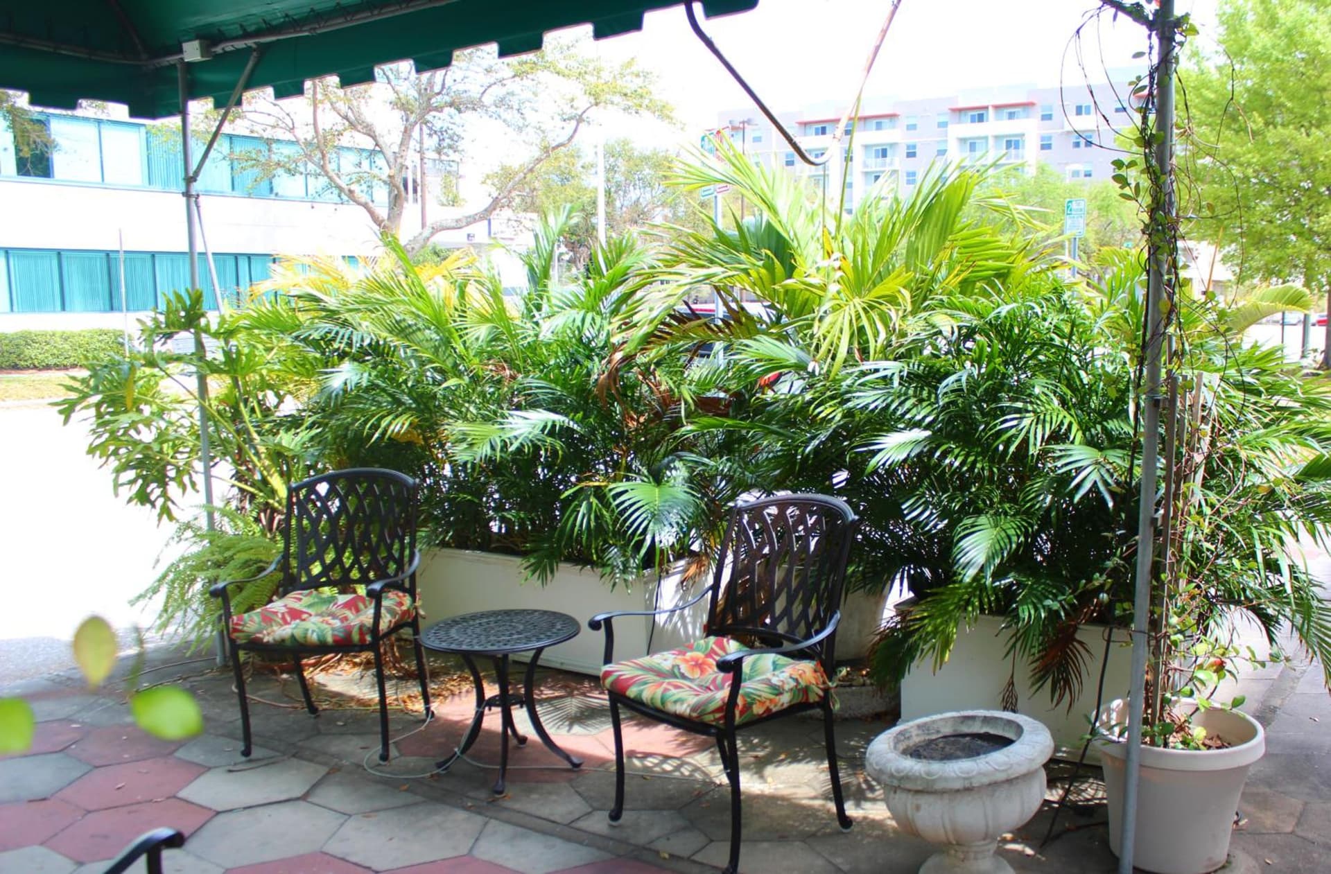 The Inn On Third gallery photo in St Petersburg, FL — image 26