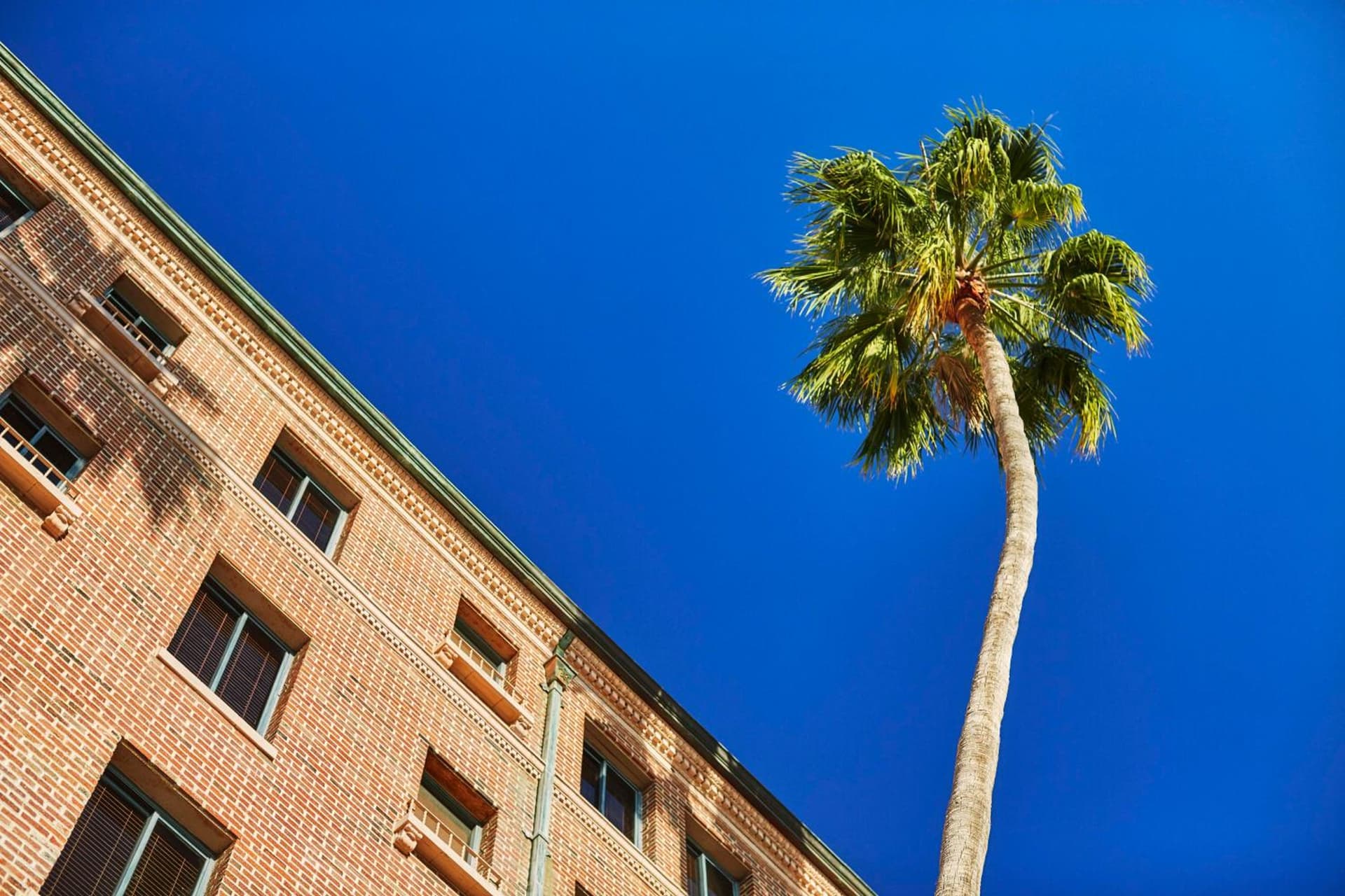 Fairmont Miramar Hotel & Bungalows gallery photo in Los Angeles, CA — image 73