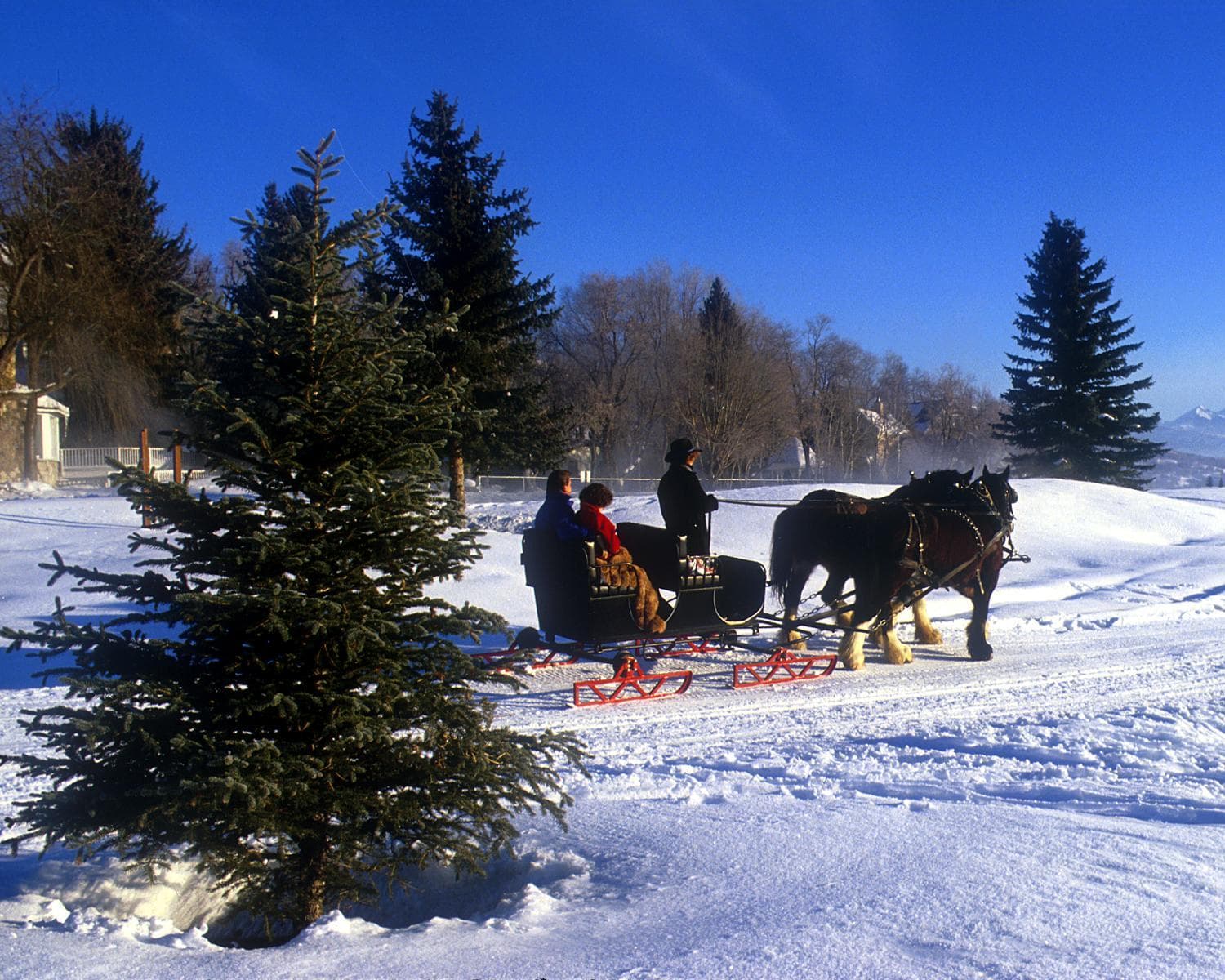 Zermatt Utah Resort & Spa Trademark Collection by Wyndham gallery photo in Midway, UT — image 51