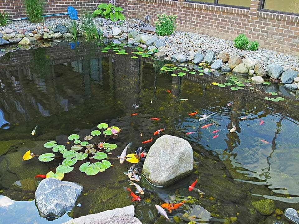 Causeway Bay Hotel gallery photo in Lansing, MI — image 38