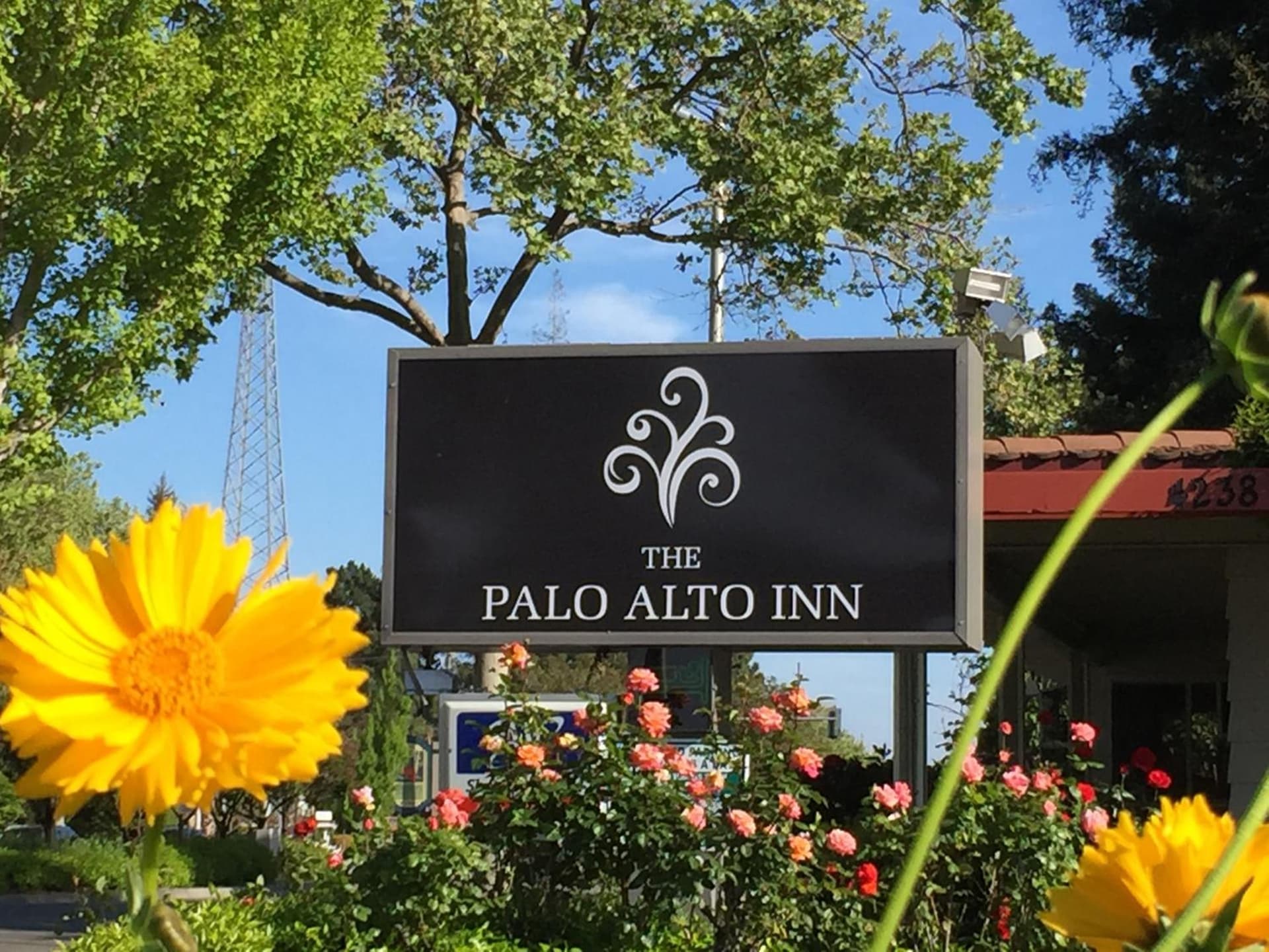 The Palo Alto Inn gallery photo in Palo Alto, CA — image 29