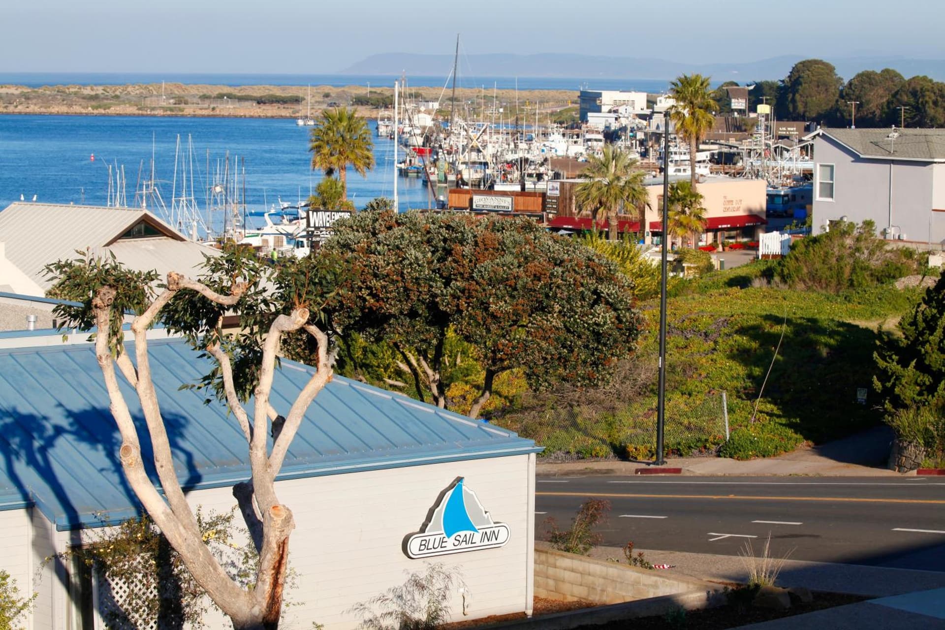 Blue Sail Inn gallery photo in Morro Bay, CA — image 19