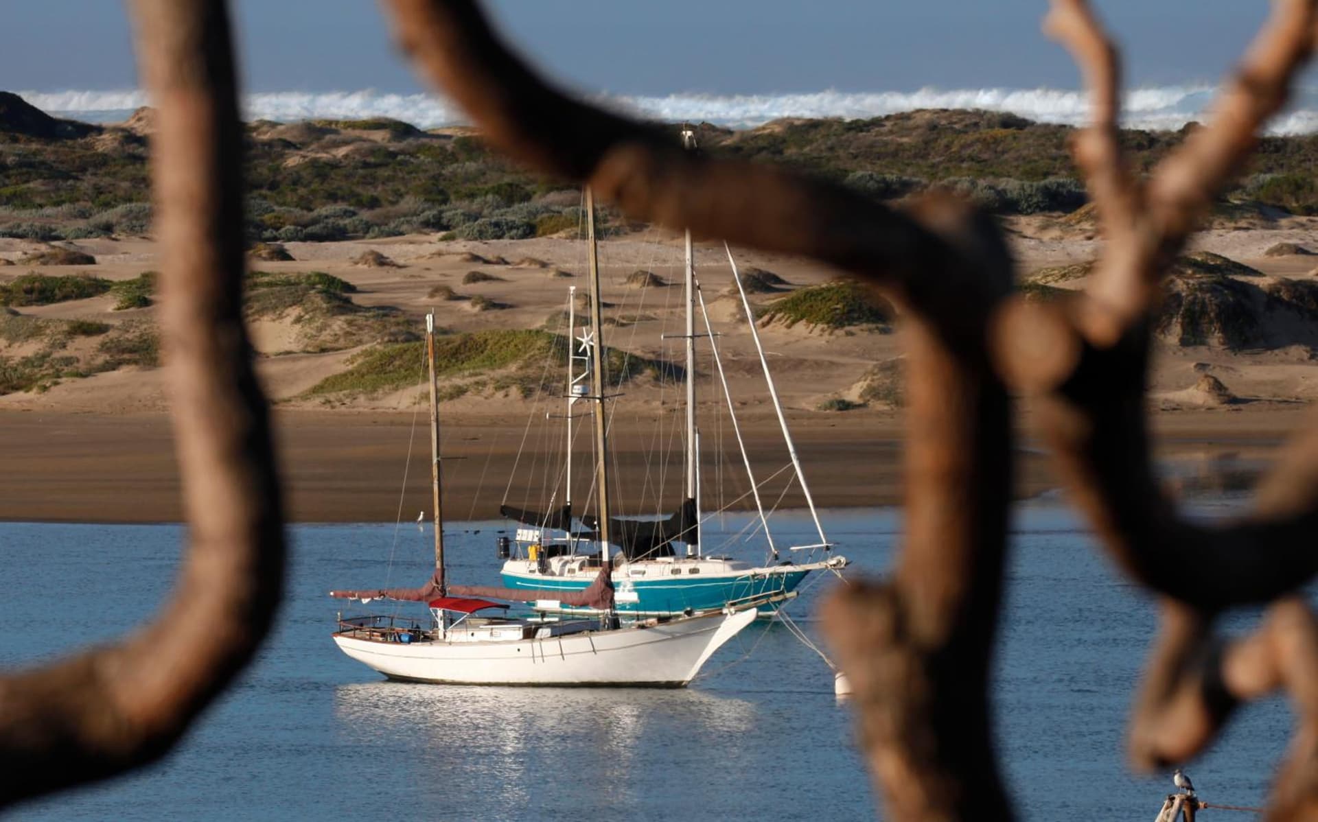 Blue Sail Inn gallery photo in Morro Bay, CA — image 27