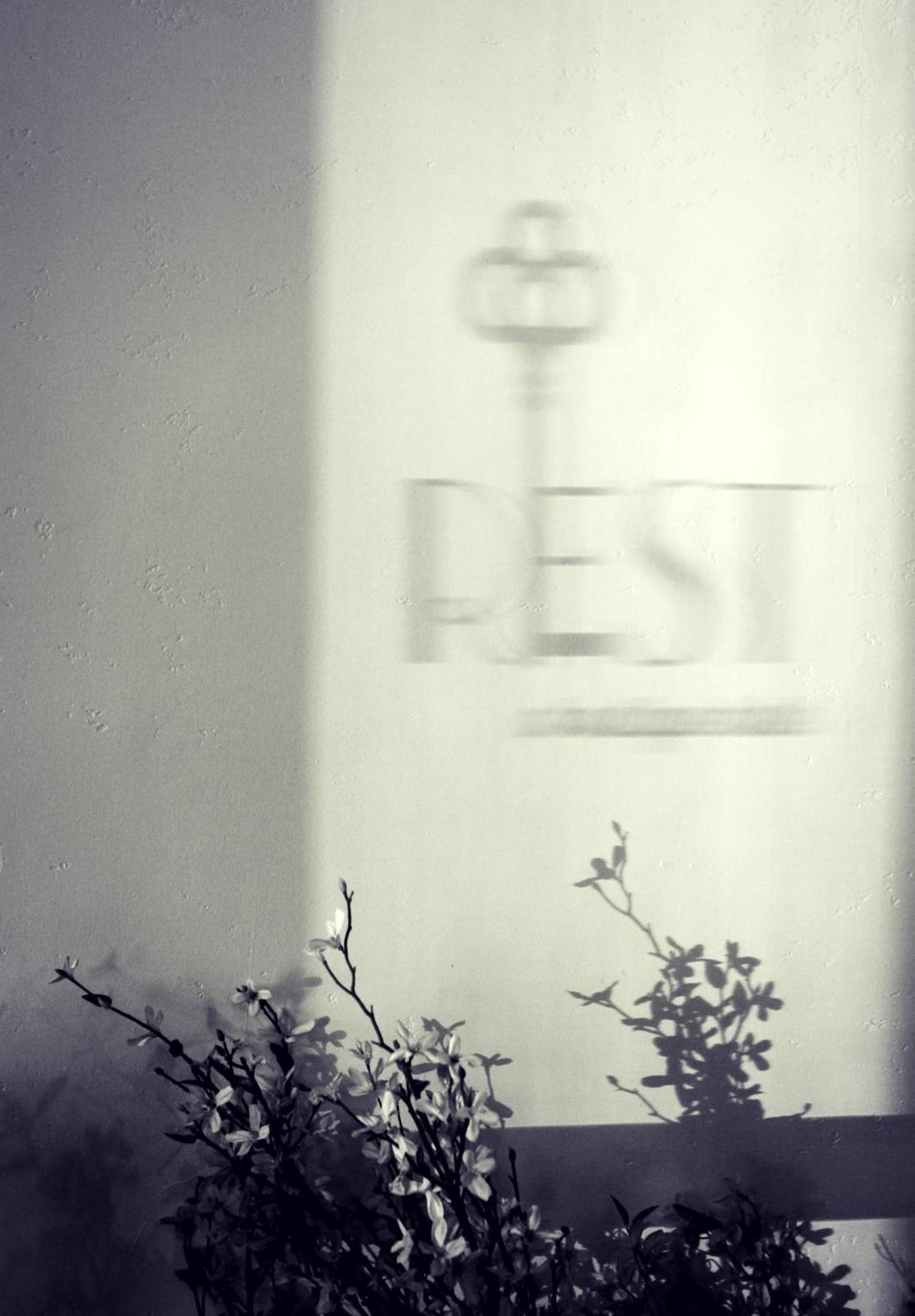 Rest Hotel Plymouth gallery photo in Plymouth, CA — image 53