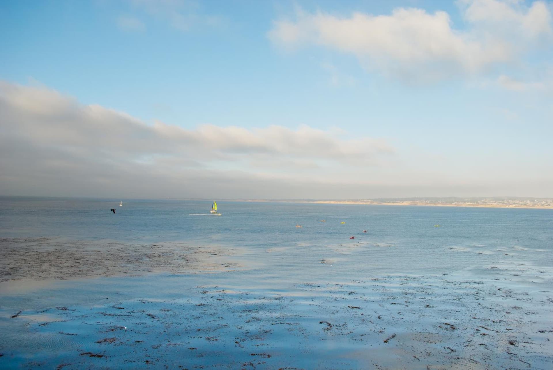 Monterey Bay Inn gallery photo in Monterey, CA — image 6