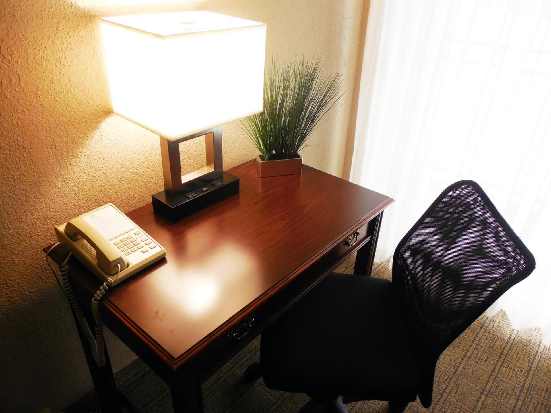 Red Lion Inn & Suites Urbana gallery photo in Champaign, IL — image 15