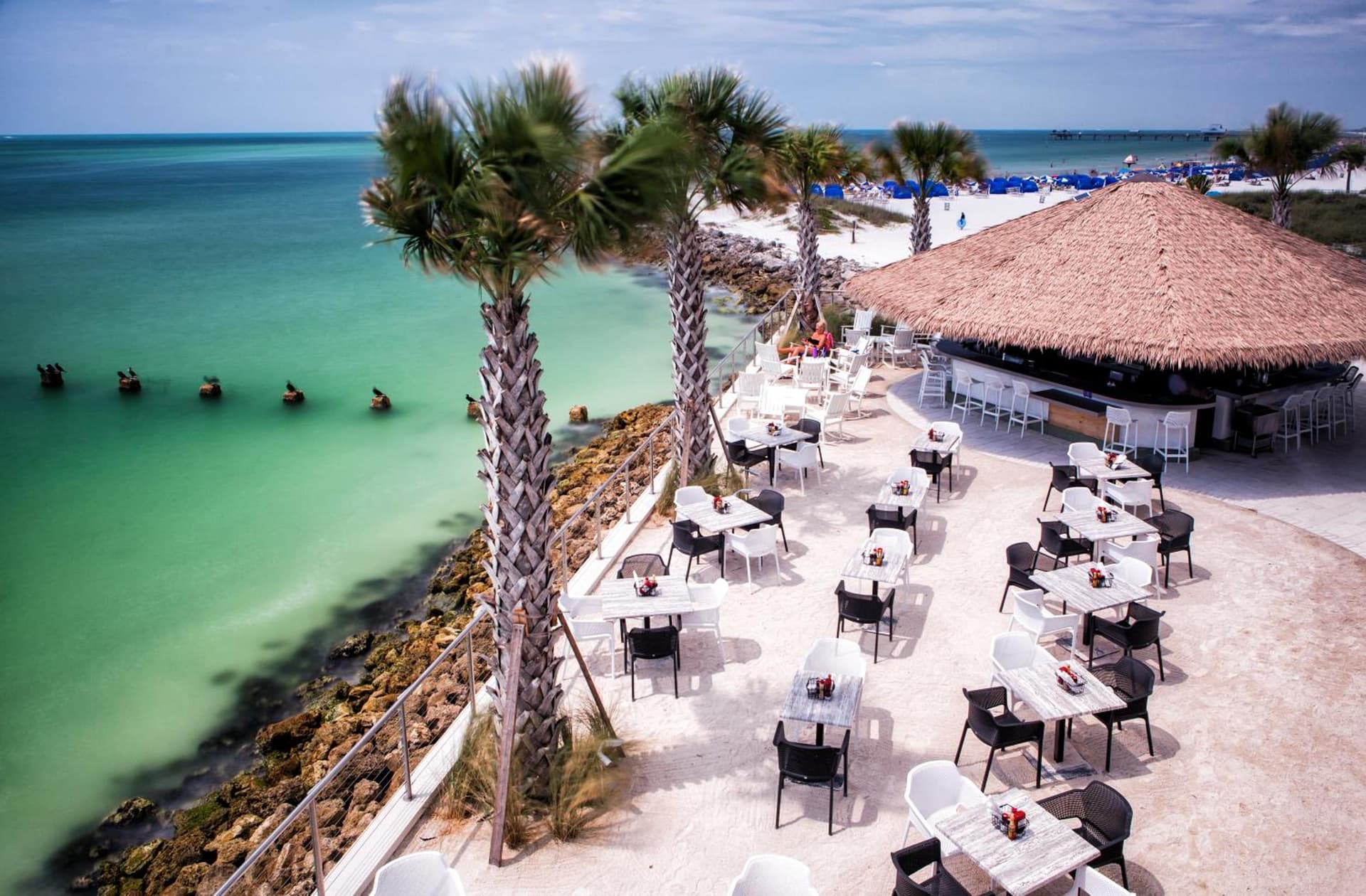 Opal Sands gallery photo in Clearwater Beach, FL — image 28