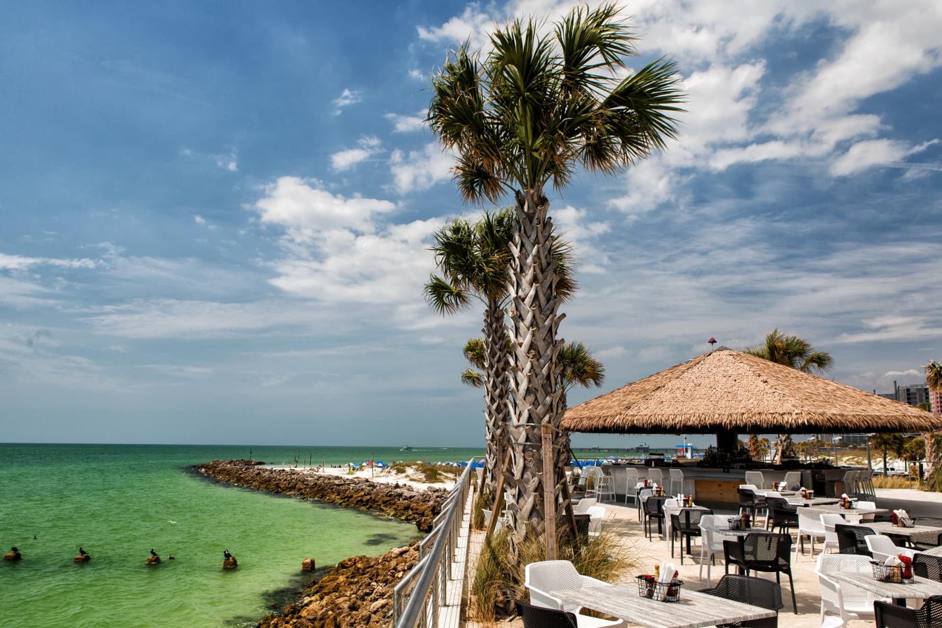 Opal Sands gallery photo in Clearwater Beach, FL — image 4