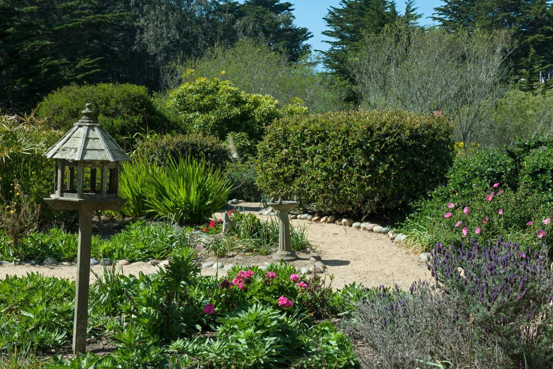 Seal Cove Inn gallery photo in Half Moon Bay, CA — image 26