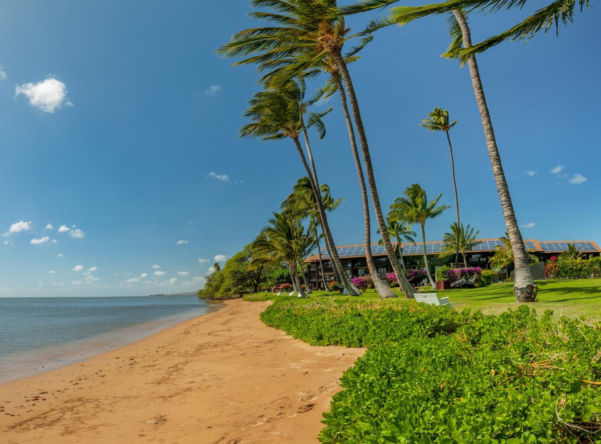 Castle at Moloka'i Shores interior in Kaunakakai, HI — gallery photo 2