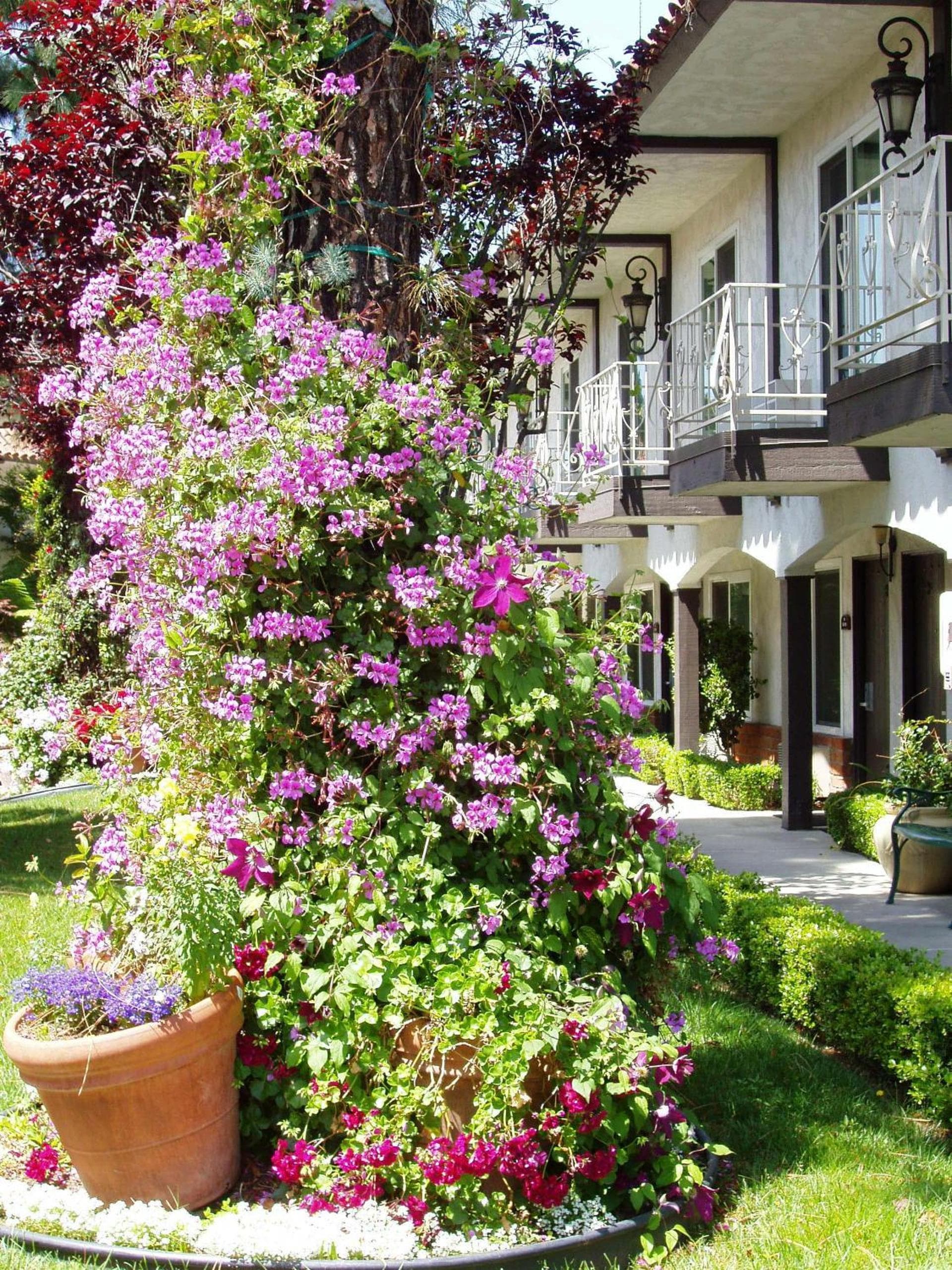 Laguna Hills Lodge-Irvine Spectrum gallery photo in Laguna Hills, CA — image 22