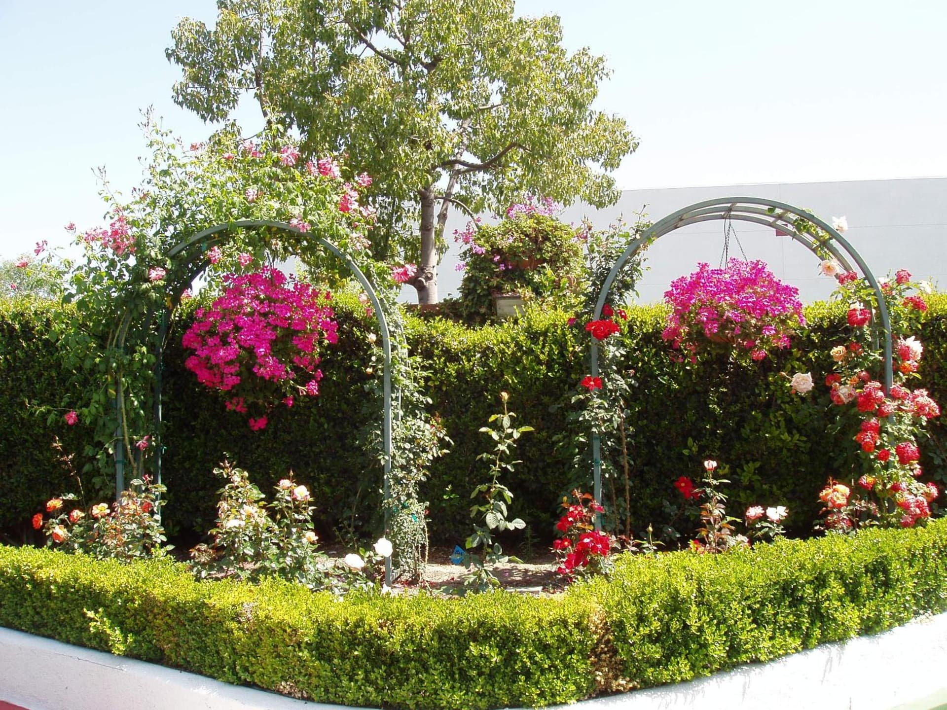 Laguna Hills Lodge-Irvine Spectrum gallery photo in Laguna Hills, CA — image 25