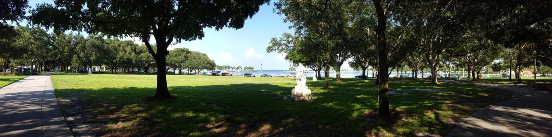 The Birchwood property views in St Petersburg, FL — gallery photo 3