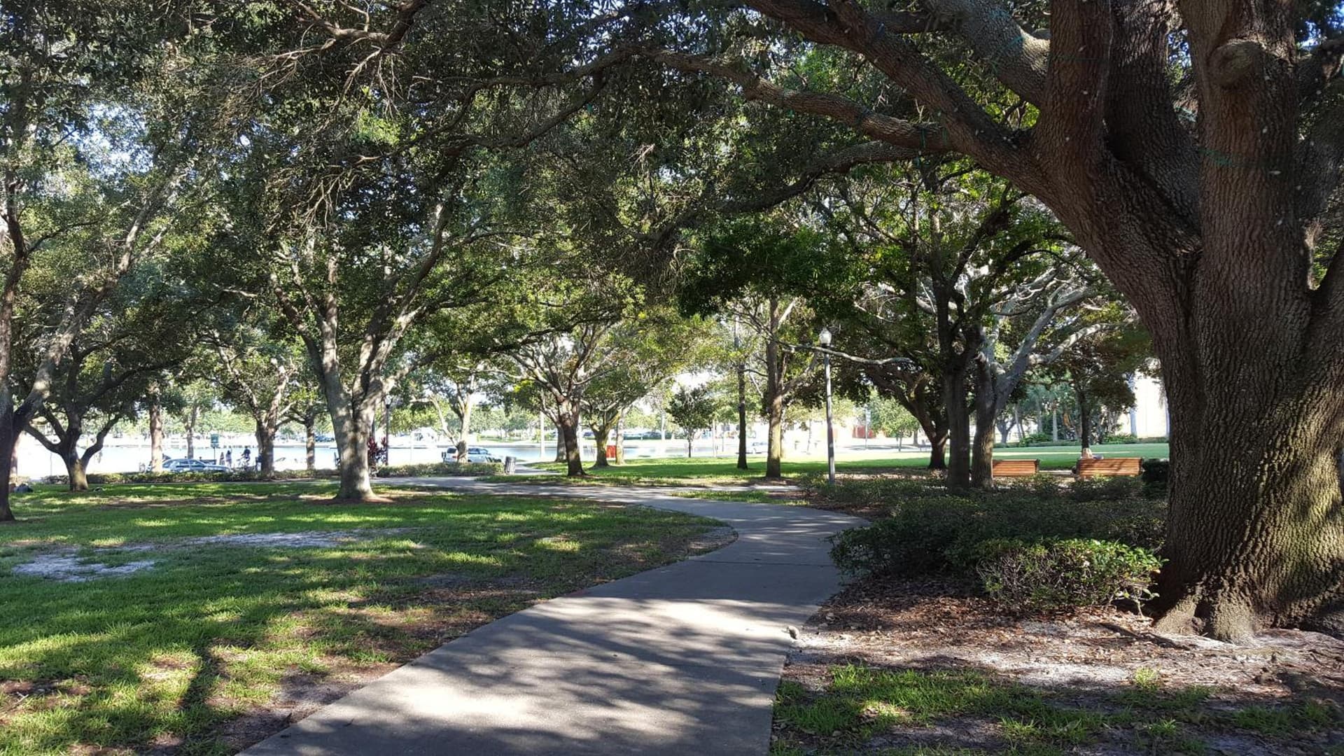 The Birchwood gallery photo in St Petersburg, FL — image 16