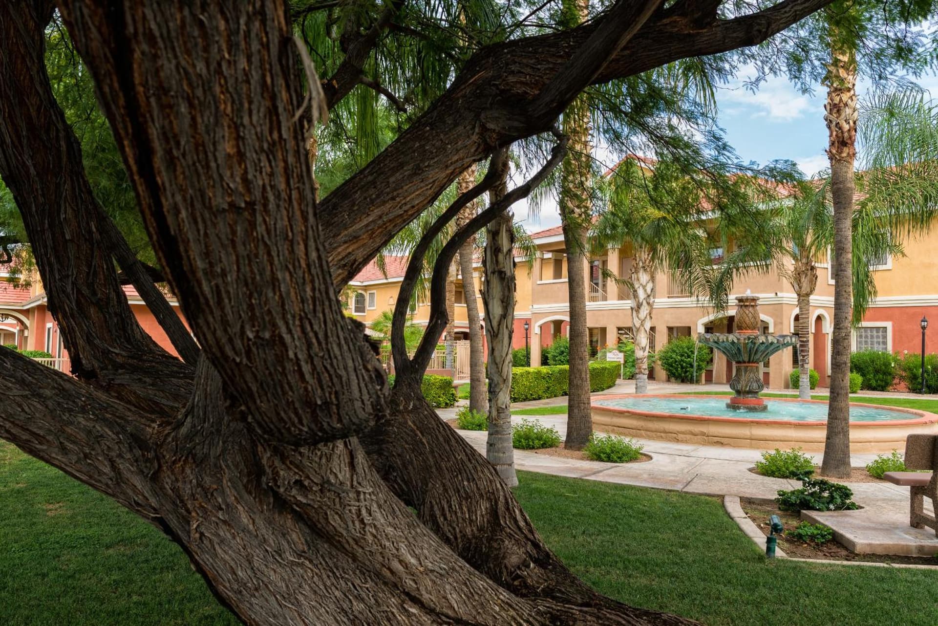 Westgate Painted Mountain Golf Resort gallery photo in Mesa, AZ — image 21