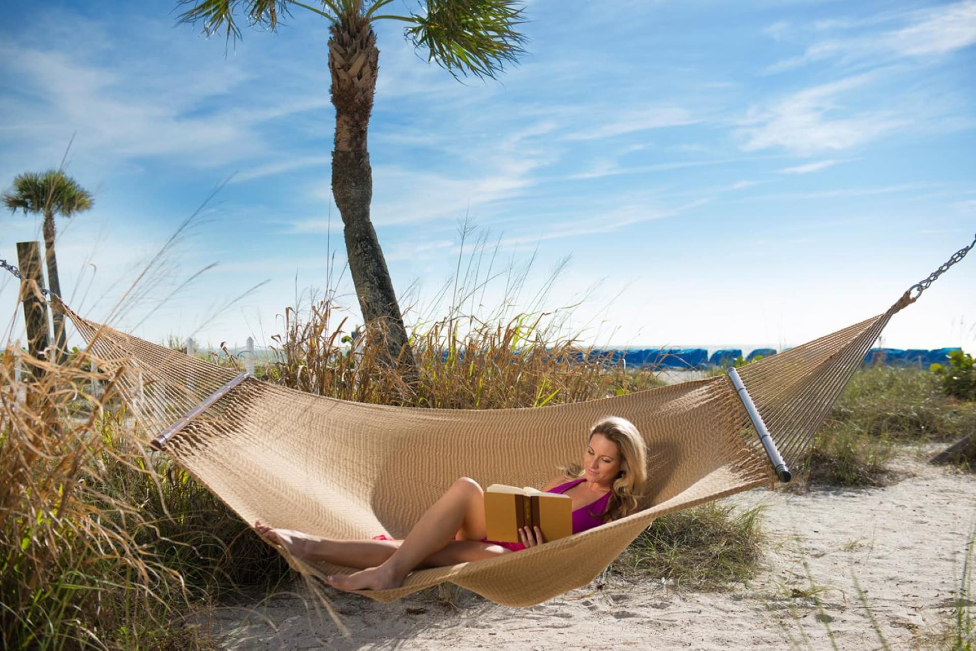 Island Grand at TradeWinds gallery photo in St Pete Beach, FL — image 9