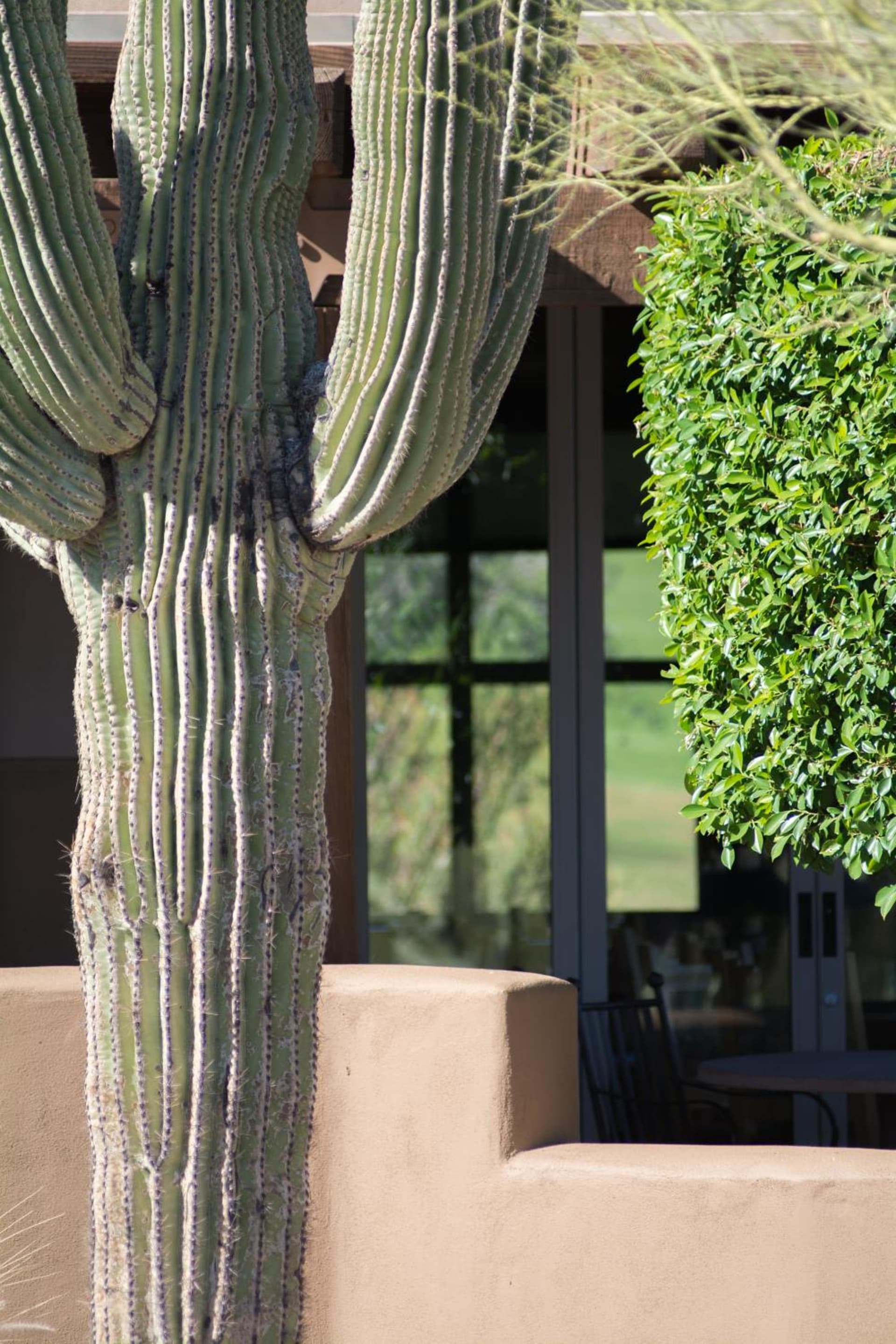 Inn at Eagle Mountain gallery photo in Scottsdale, AZ — image 21