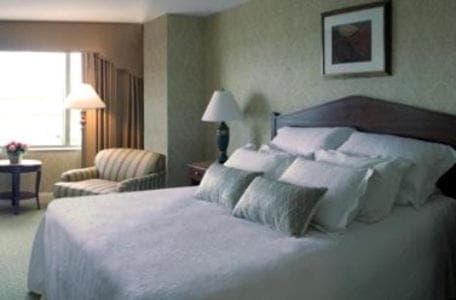 Bally's Dover gallery photo in Dover, DE — image 5