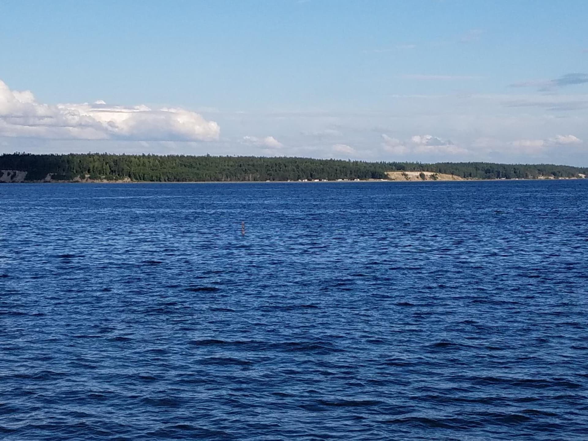Multi Resorts at Kala Point gallery photo in Port Townsend, WA — image 5