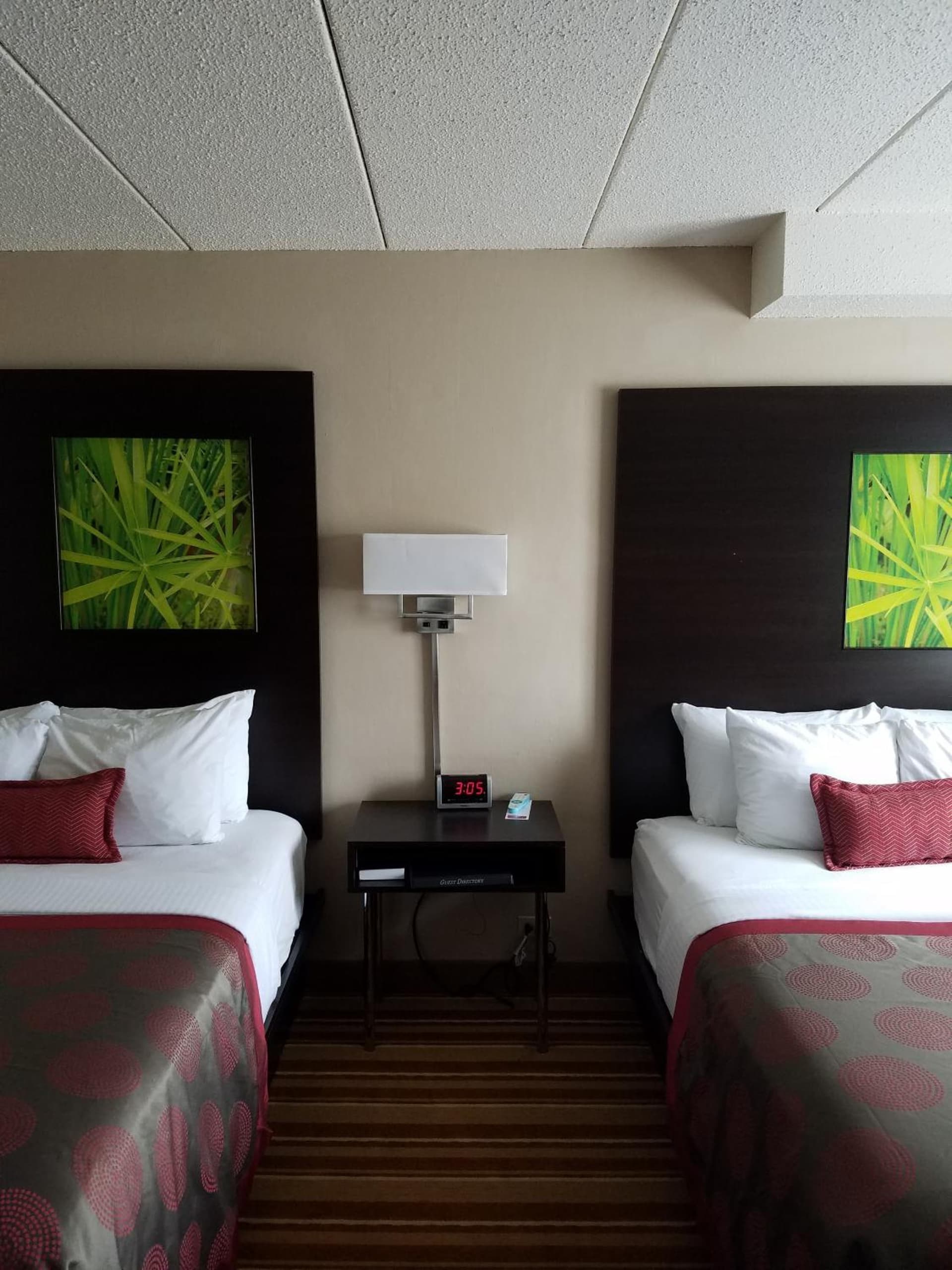 Ramada by Wyndham Minneapolis Golden Valley gallery photo in Minneapolis, MN — image 27