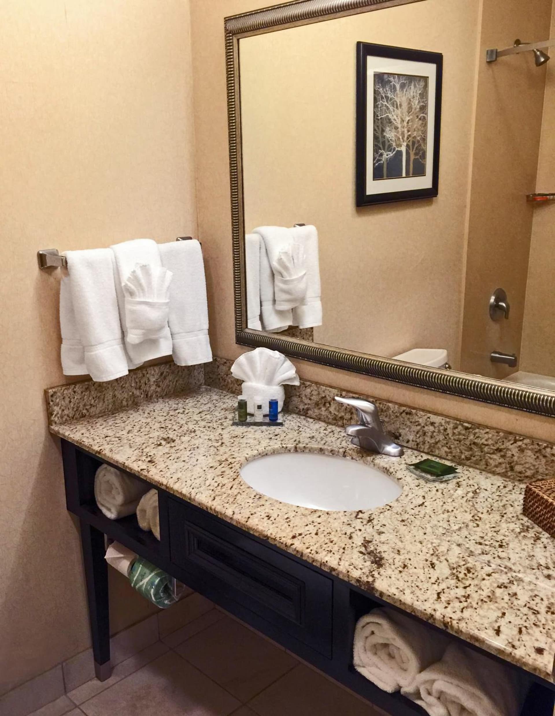 Radisson Hotel Freehold gallery photo in Freehold, NJ — image 33
