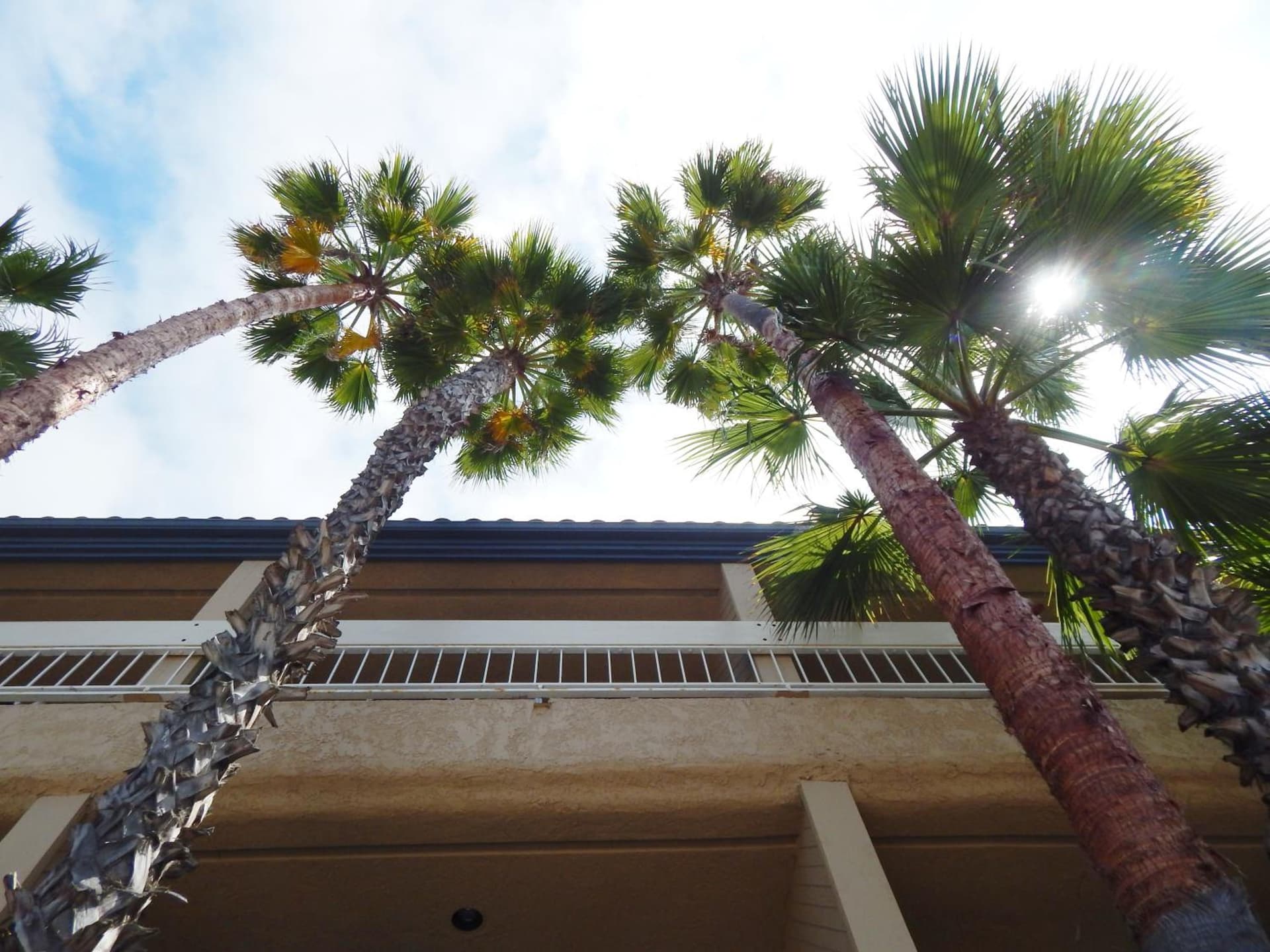 The Pacific Inn gallery photo in Seal Beach, CA — image 69