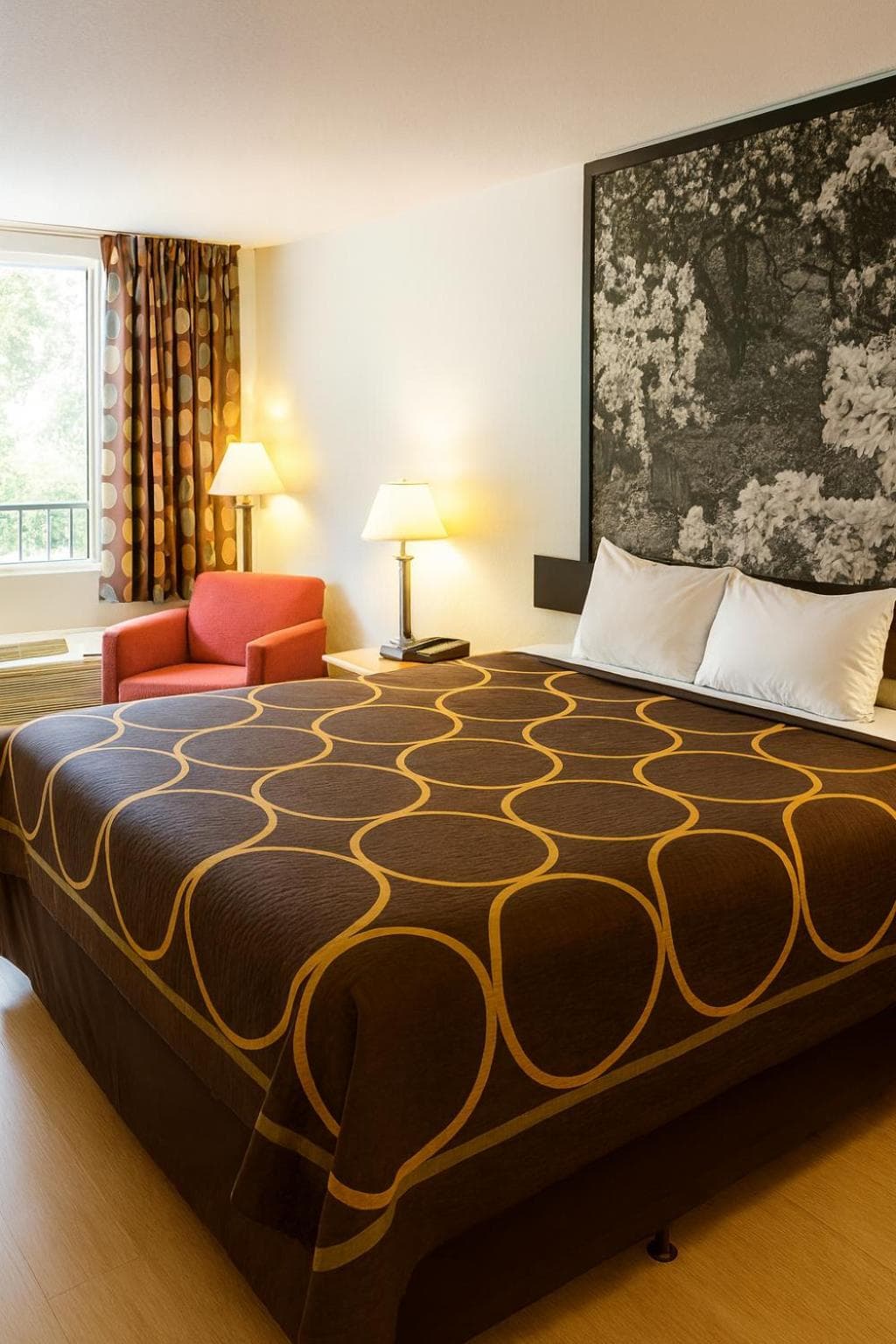 MHO Hotel Dover gallery photo in Dover, DE — image 7