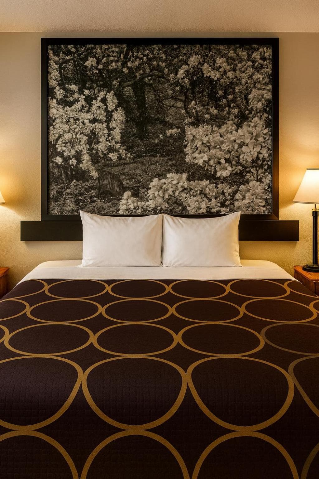 MHO Hotel Dover gallery photo in Dover, DE — image 23