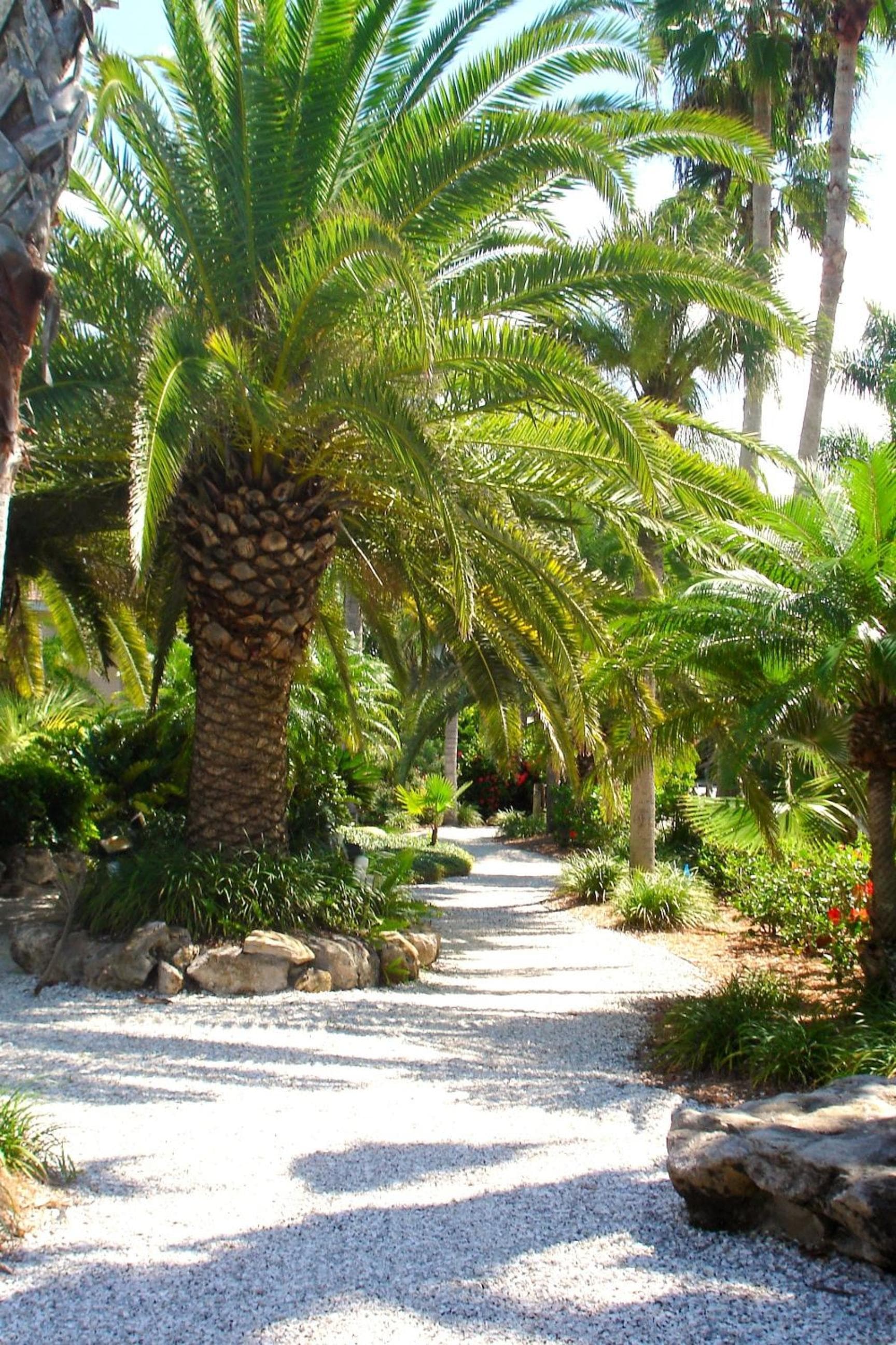 Tropical Beach Resorts - Sarasota gallery photo in Sarasota, FL — image 55