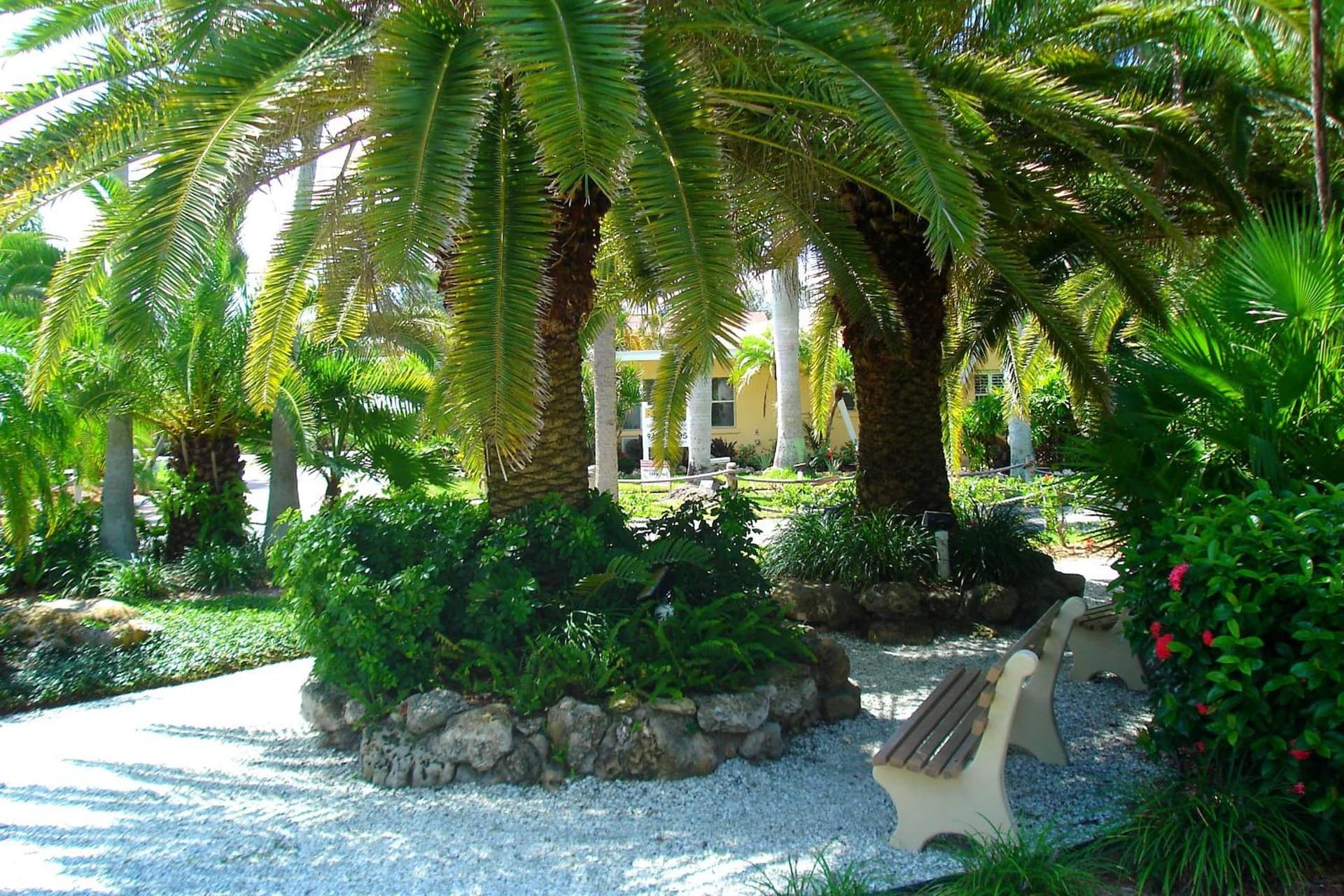 Tropical Beach Resorts - Sarasota gallery photo in Sarasota, FL — image 40