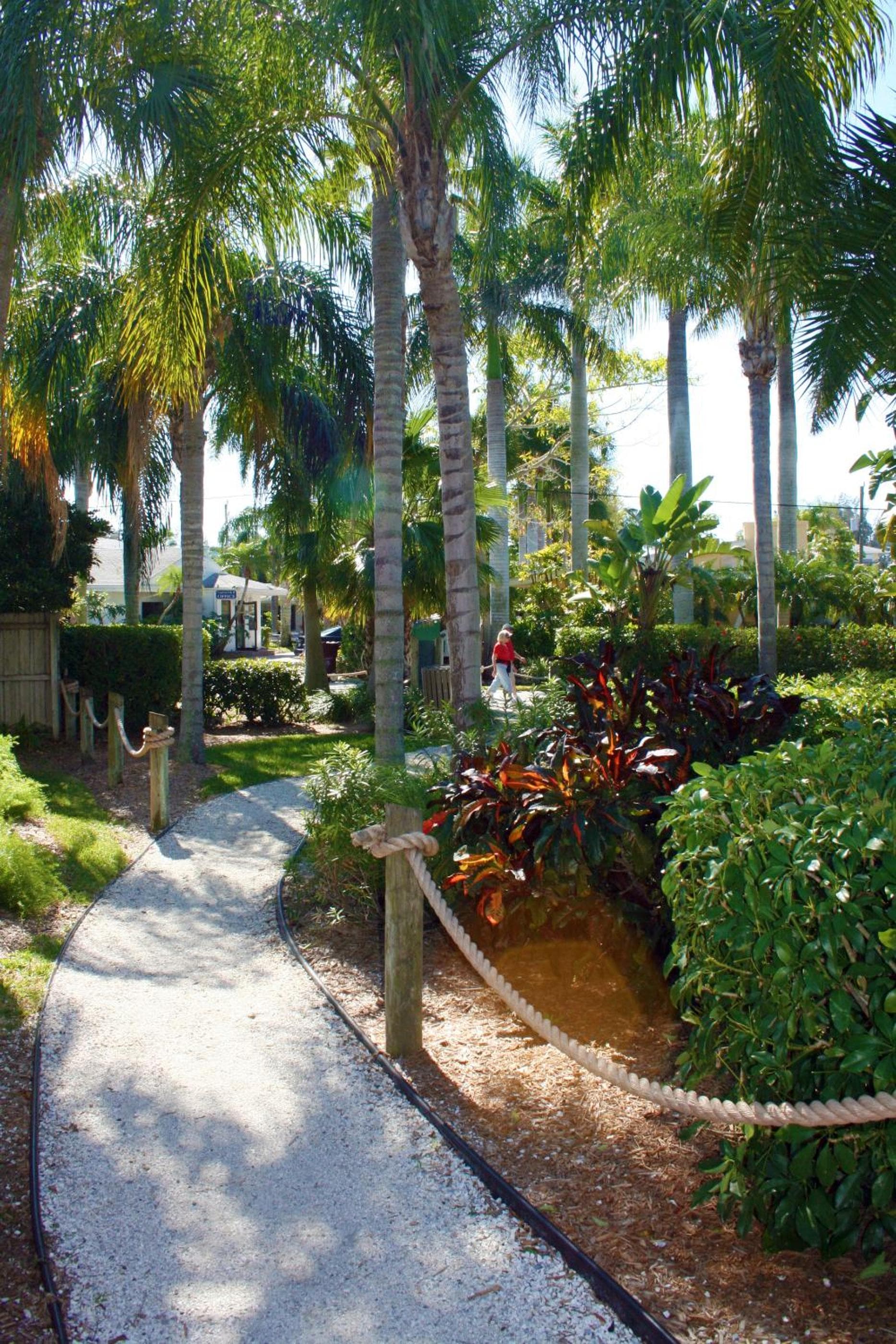 Tropical Beach Resorts - Sarasota gallery photo in Sarasota, FL — image 27