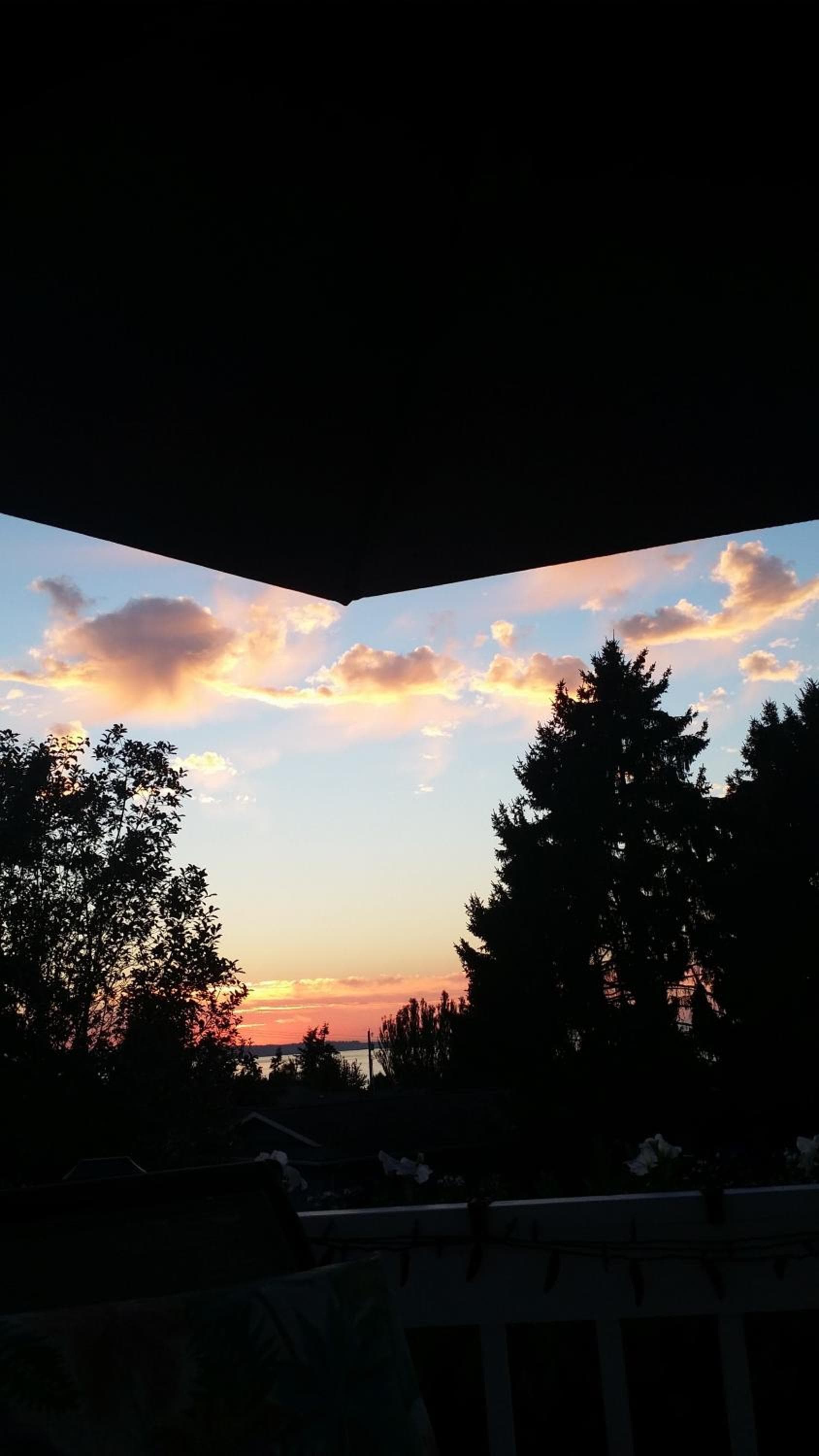 Villa Rivarola property views in Edmonds, WA — gallery photo 3