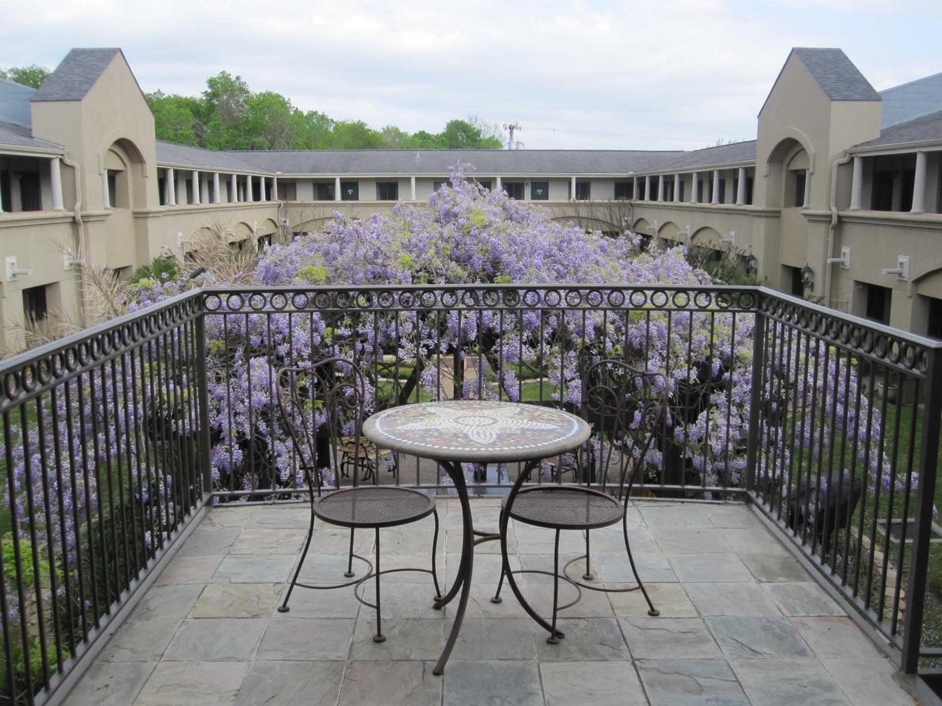 Vineyard Court Designer Suites Hotel gallery photo in College Station, TX — image 56
