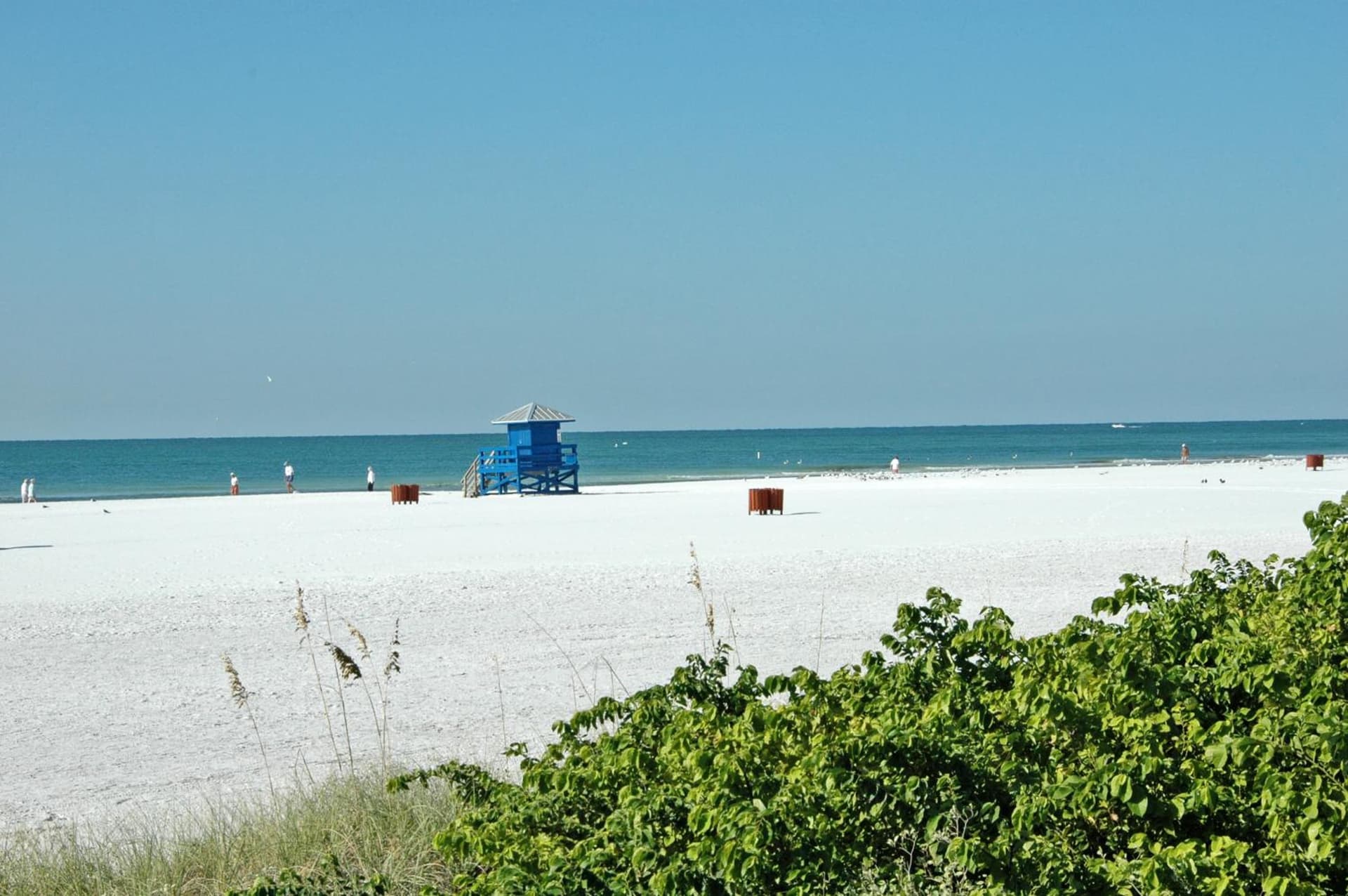 Siesta Key Palms Resort gallery photo in Sarasota, FL — image 188