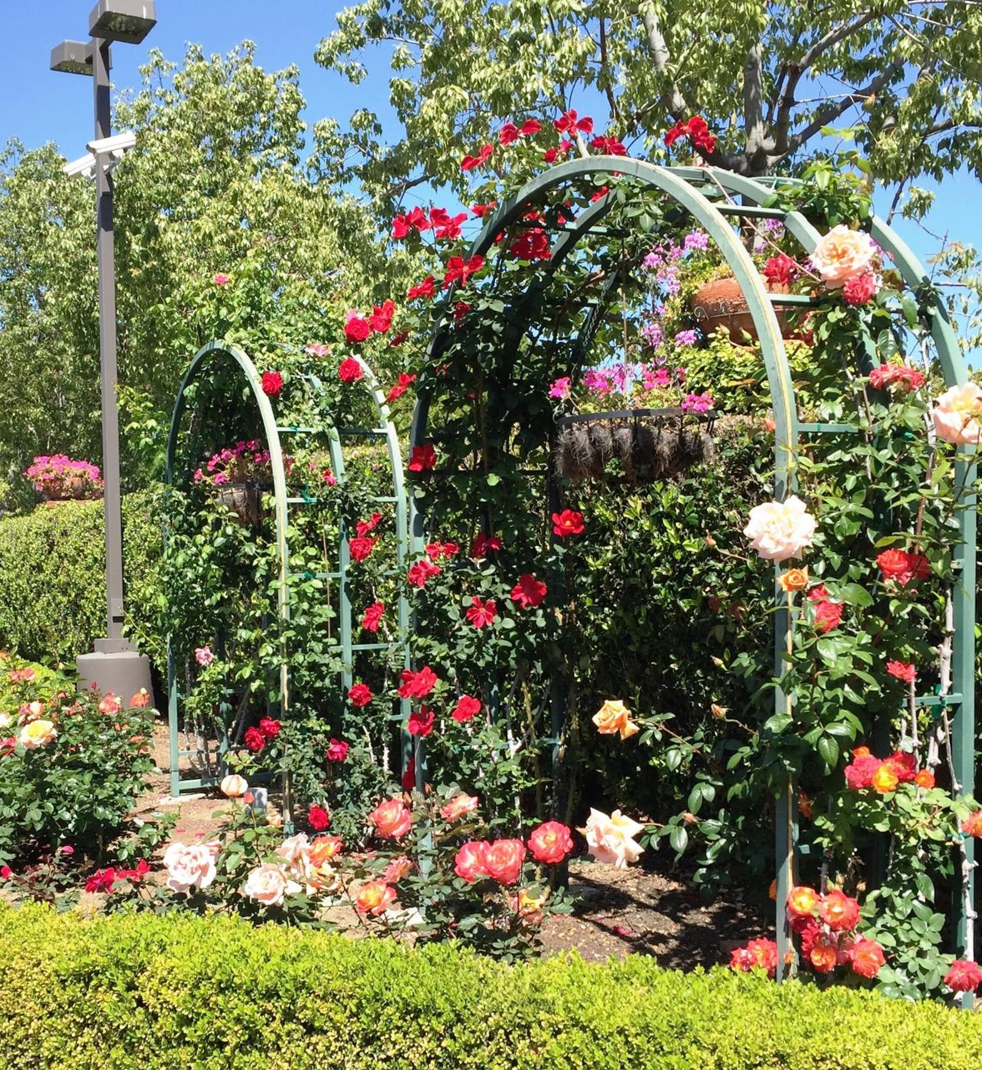 Laguna Hills Lodge-Irvine Spectrum gallery photo in Laguna Hills, CA — image 7