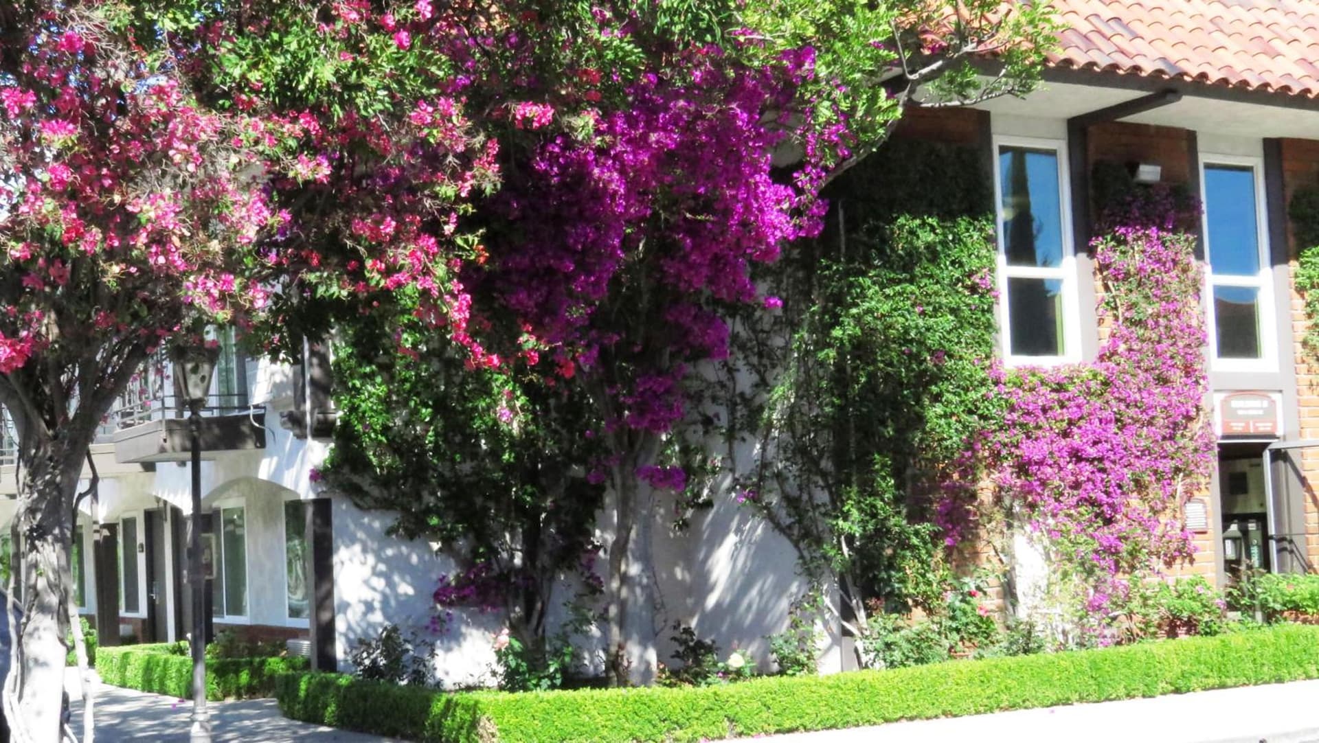Laguna Hills Lodge-Irvine Spectrum gallery photo in Laguna Hills, CA — image 37