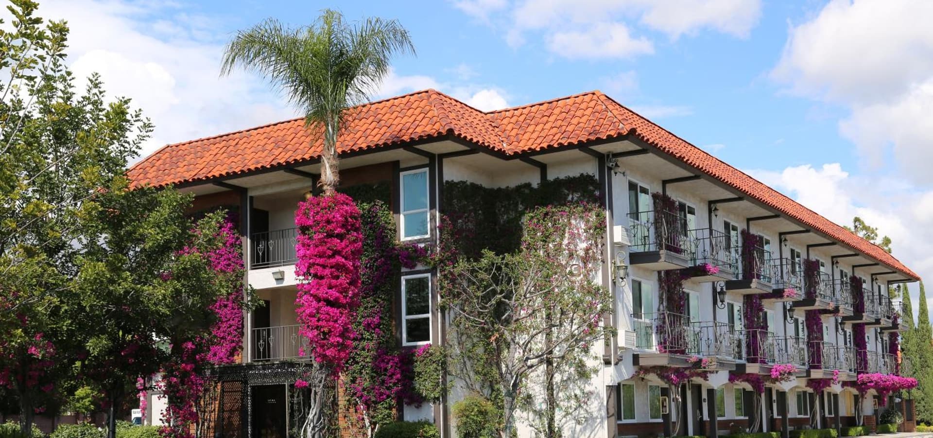 Laguna Hills Lodge-Irvine Spectrum gallery photo in Laguna Hills, CA — image 19