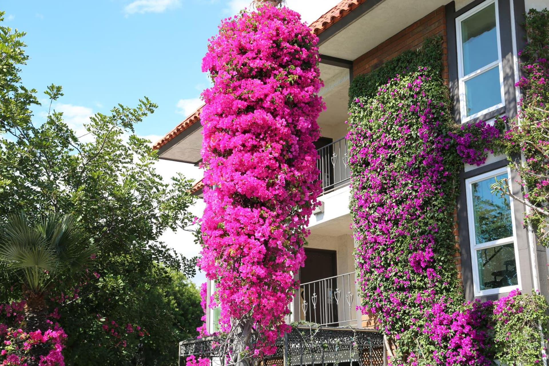 Laguna Hills Lodge-Irvine Spectrum gallery photo in Laguna Hills, CA — image 20