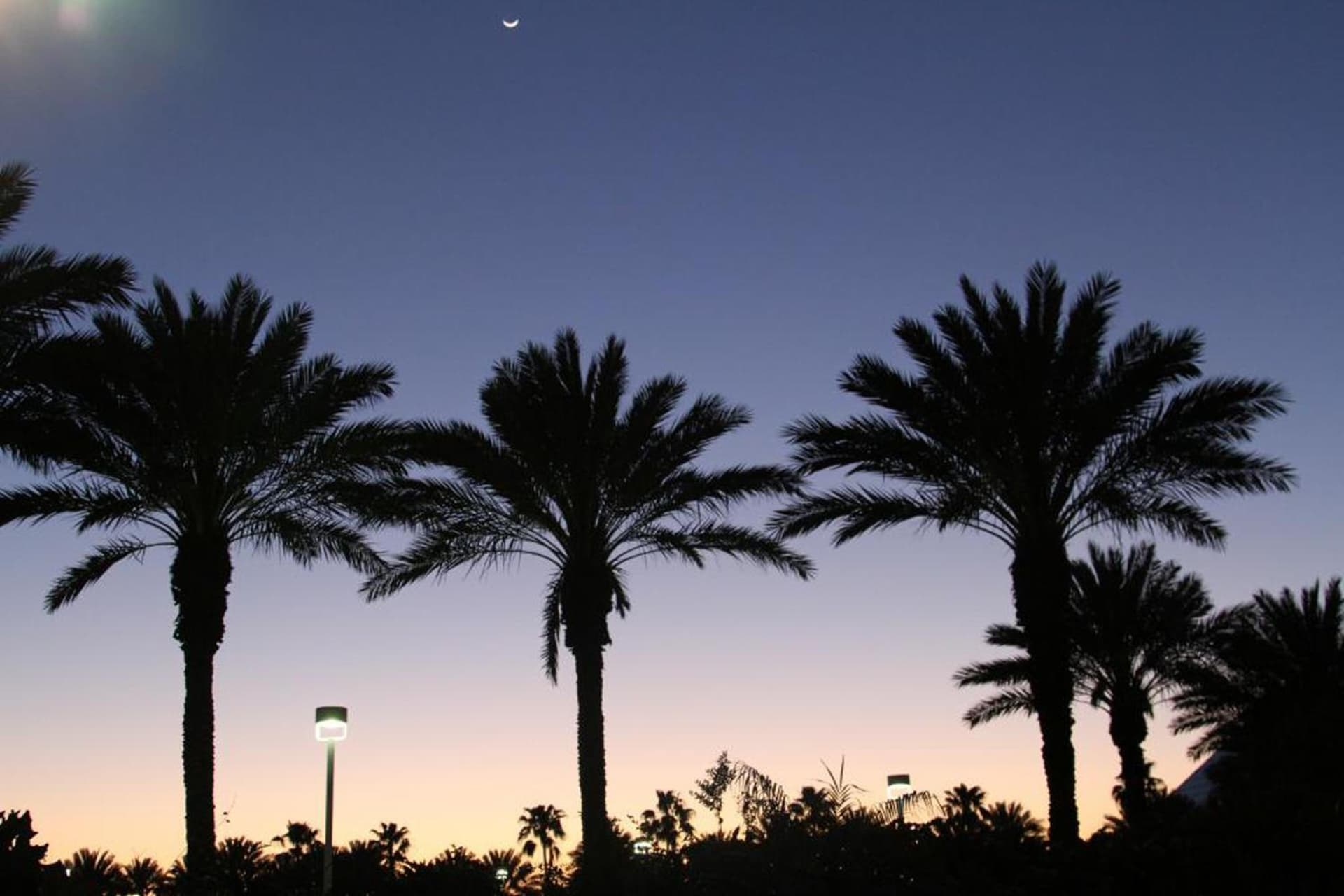 Moody Gardens Hotel Spa and Convention Center gallery photo in Galveston, TX — image 74